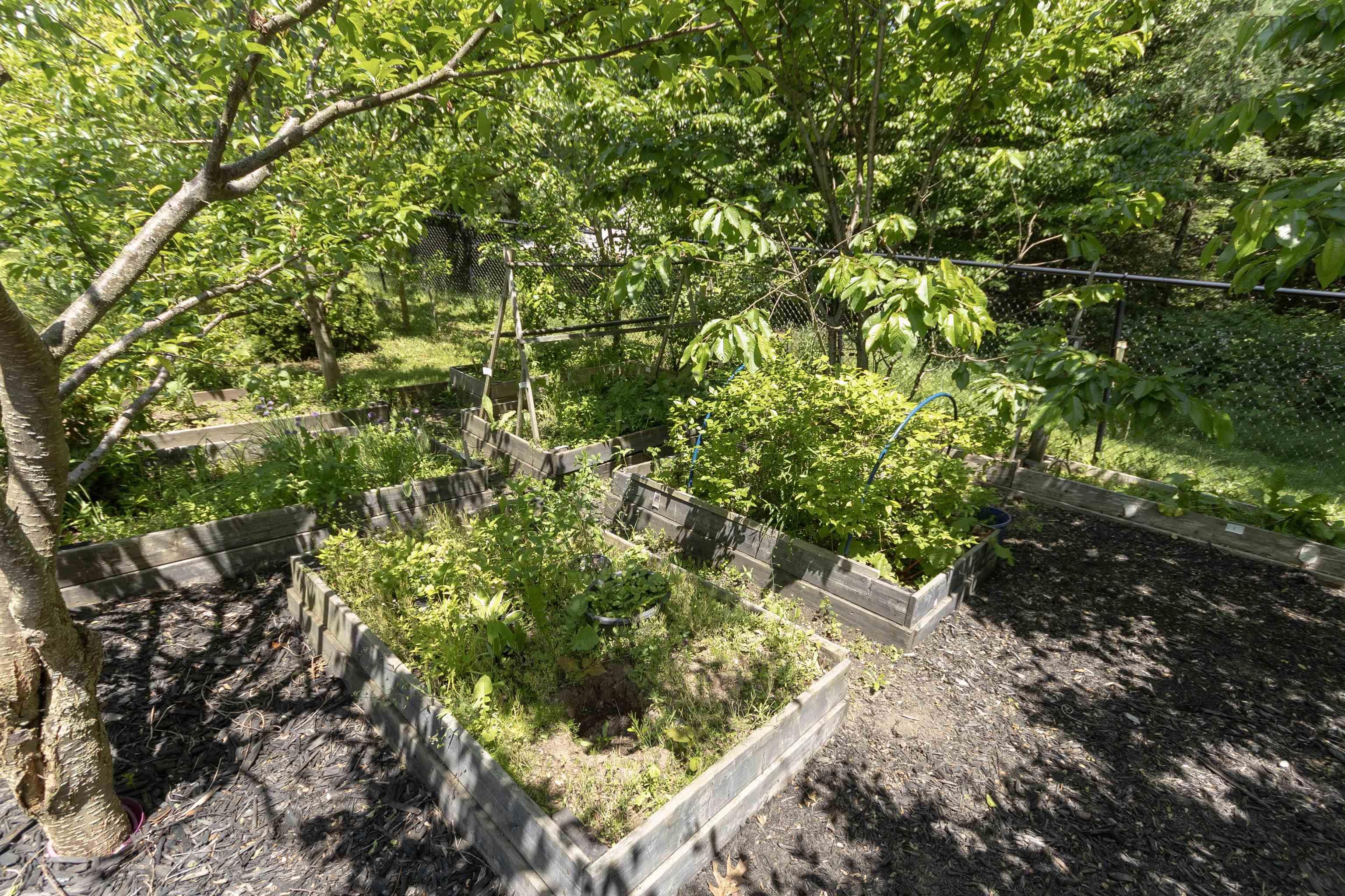 202 Lindforest Court photo #49