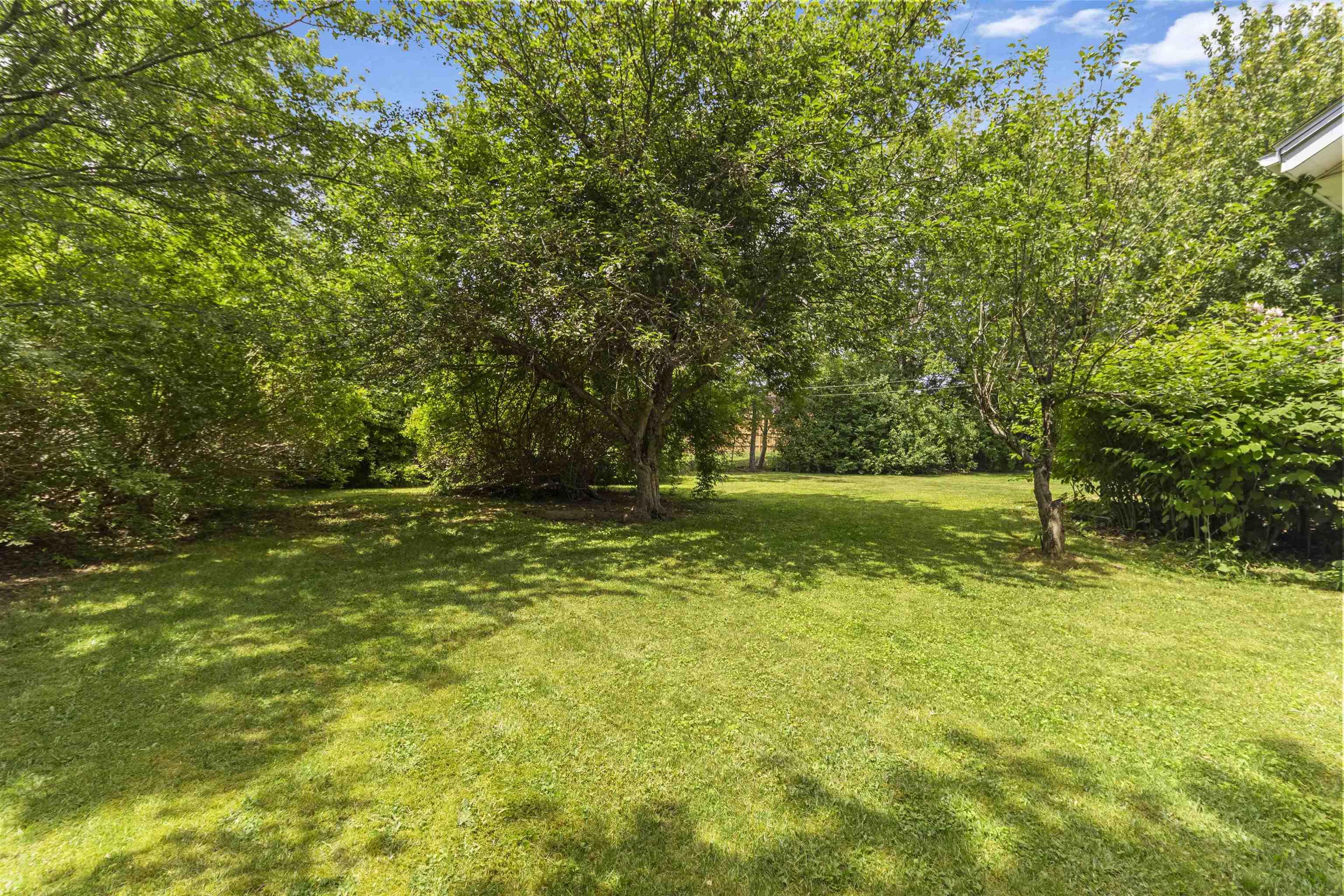 98 Wildwood Boulevard photo #45