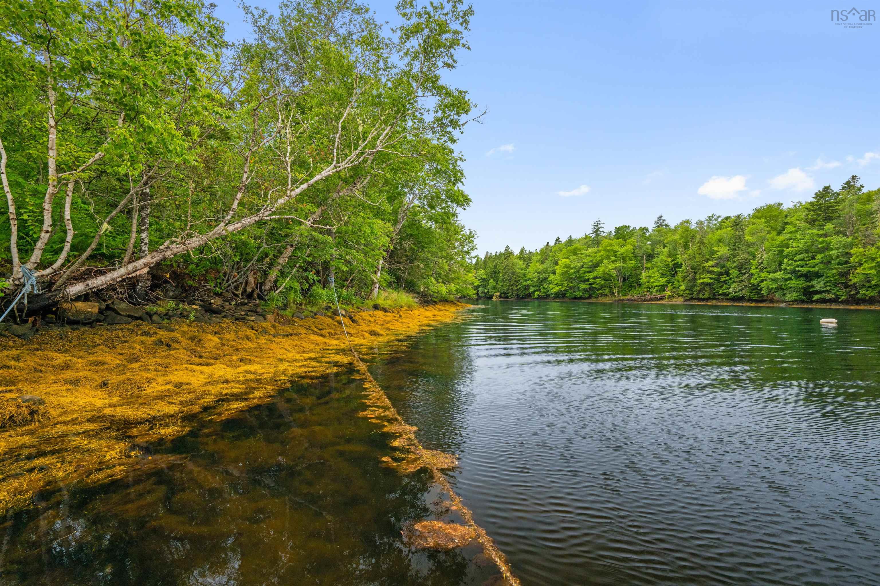 59 West Side Road photo #41