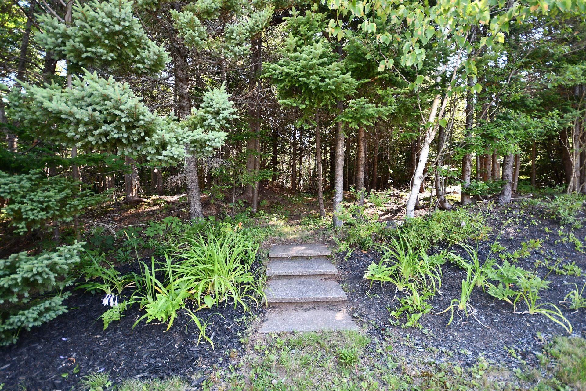 31 Barry Crescent photo #38