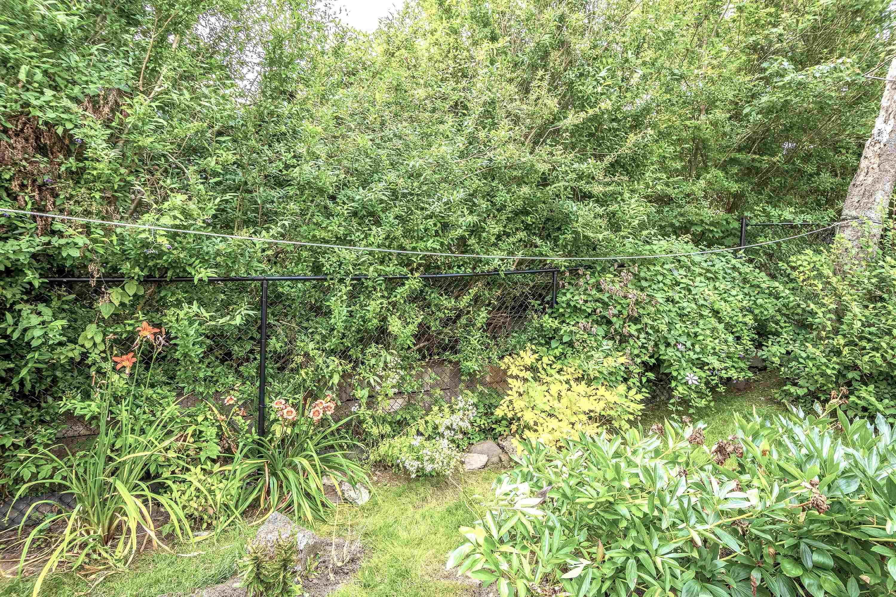 28 Piers Avenue photo #28