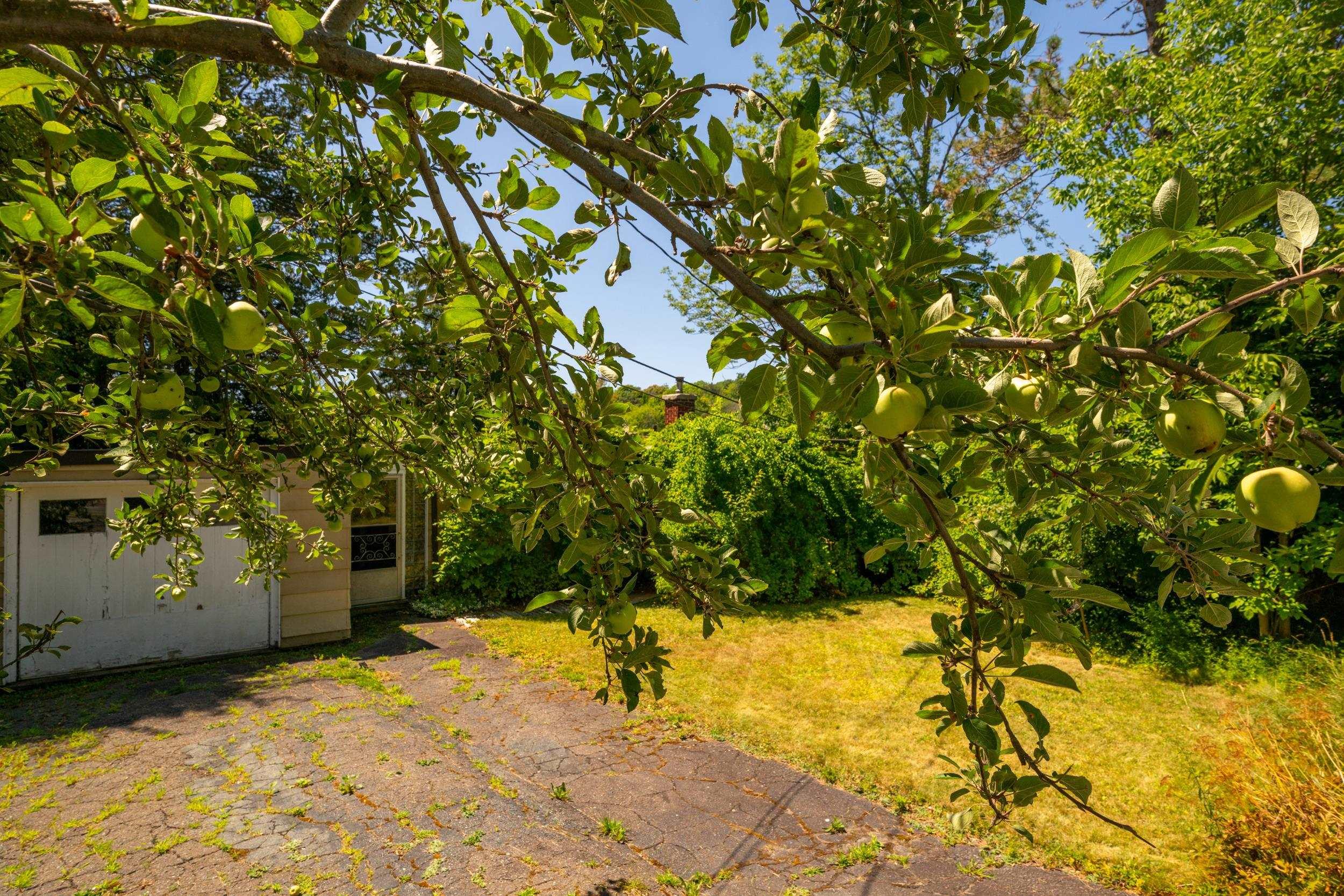 609 Shore Drive photo #14