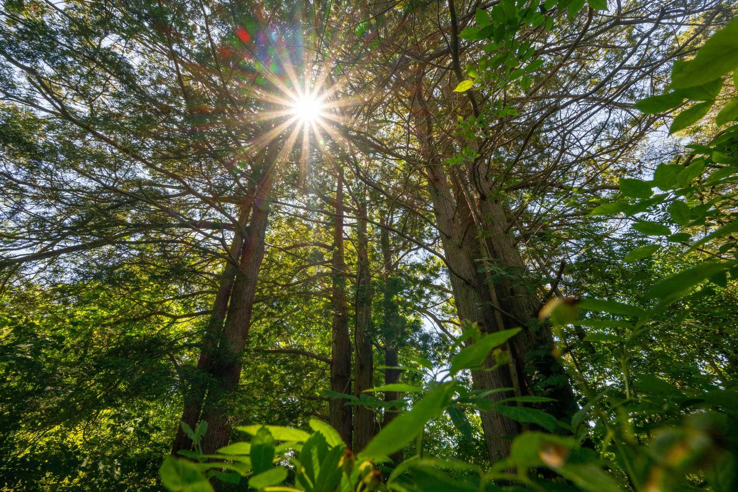 609 Shore Drive photo #16