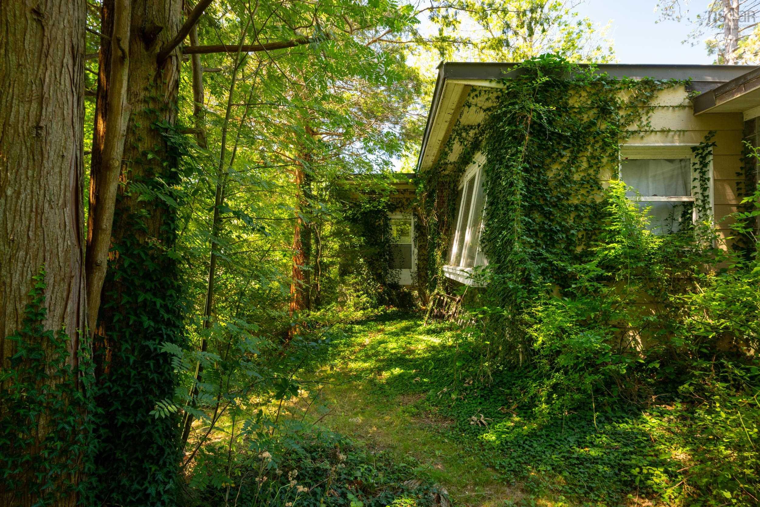 609 Shore Drive photo #18