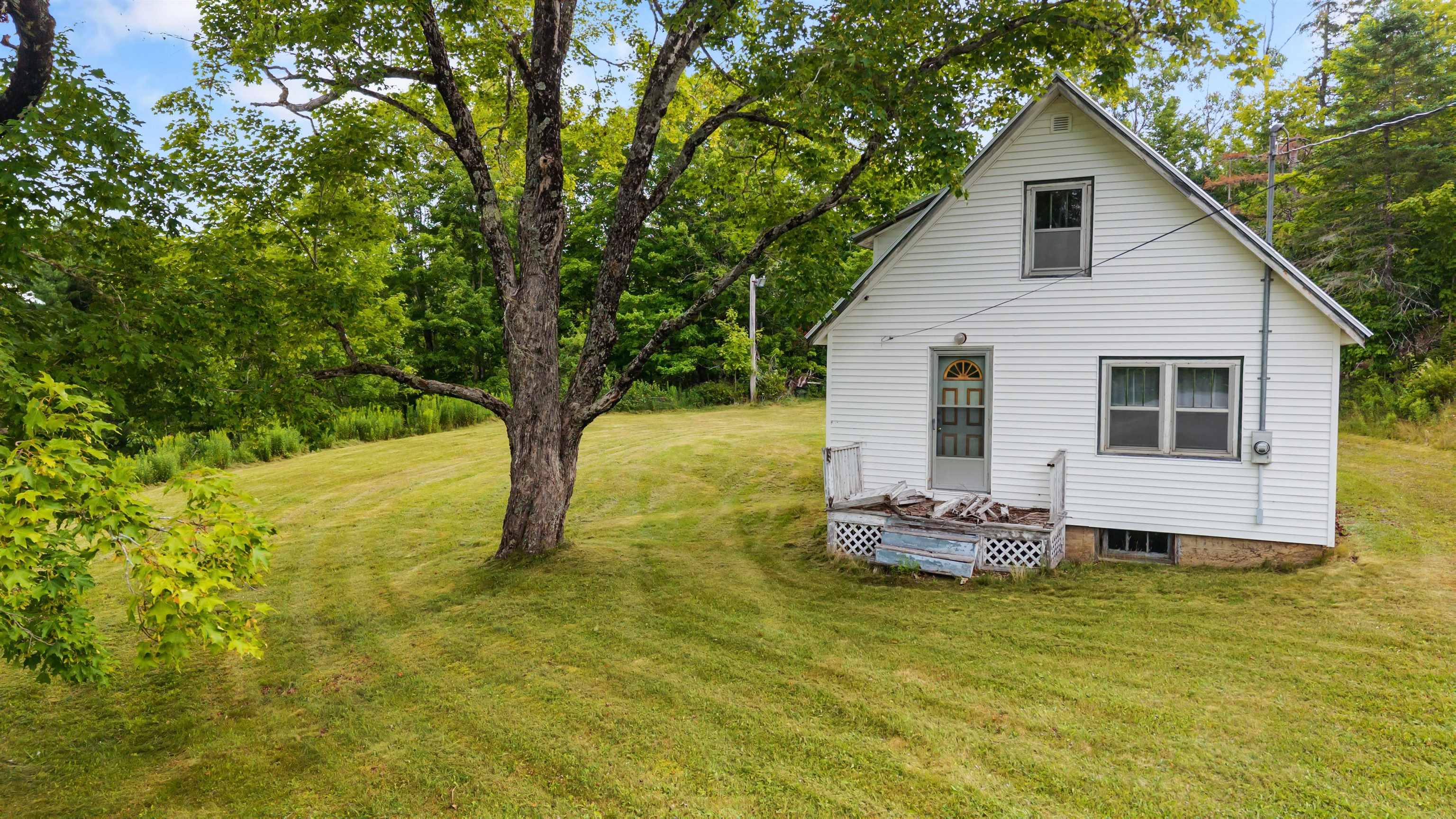 8860 Moose River Road photo #4