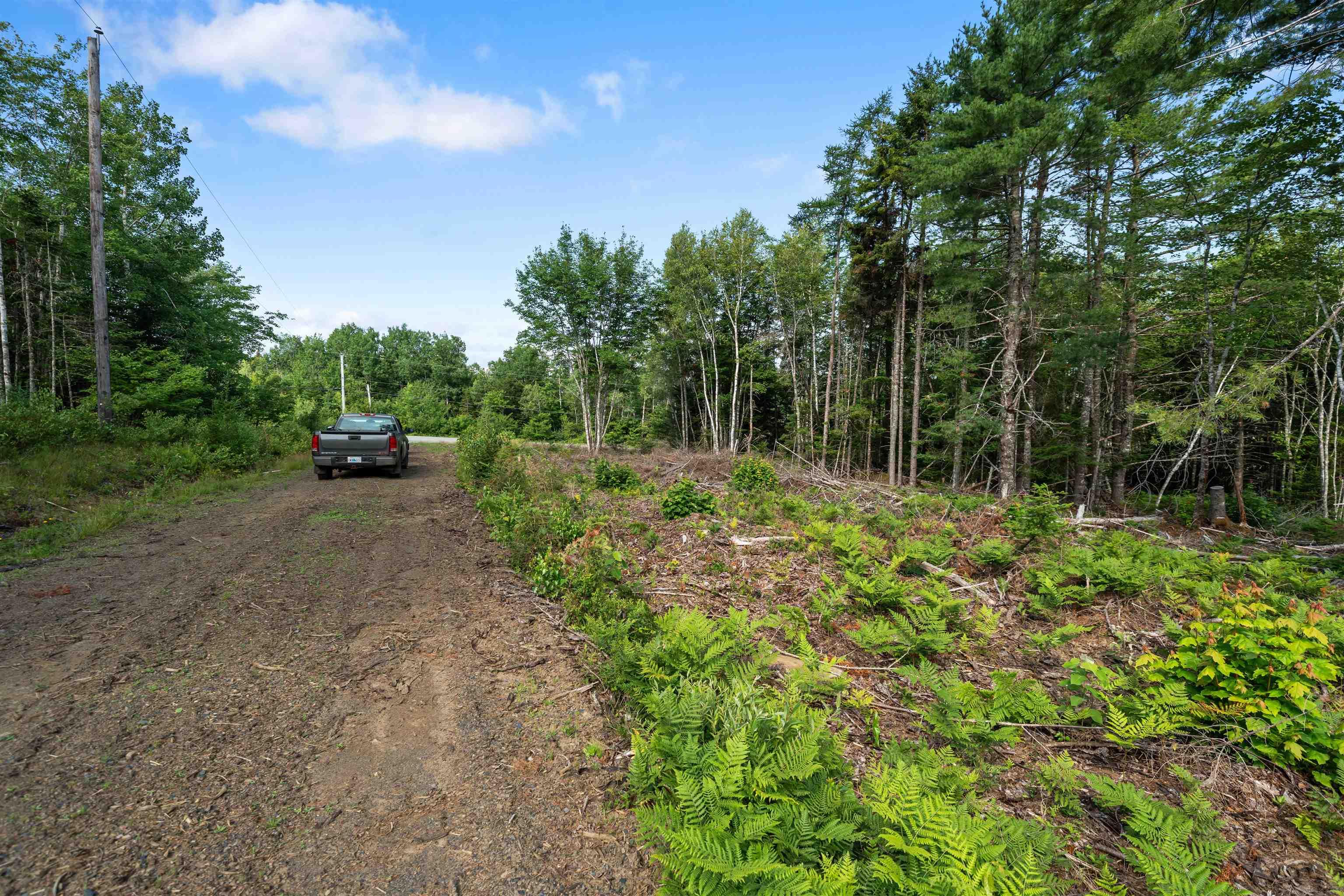 8860 Moose River Road photo #48