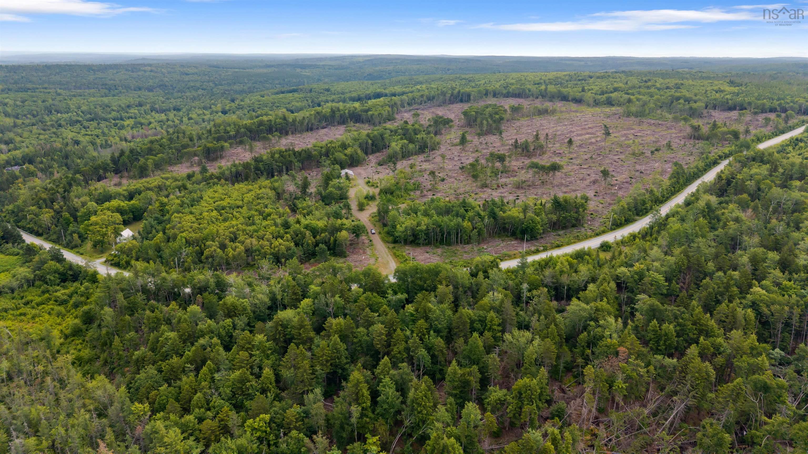 8860 Moose River Road photo #49