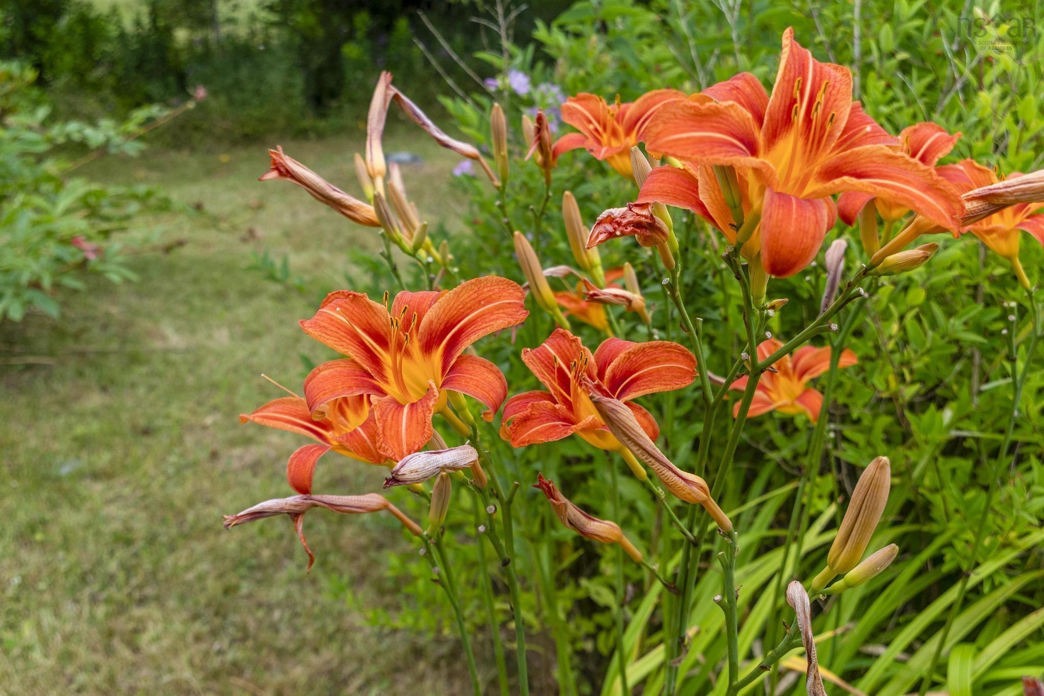 140 Hartling Road photo #16