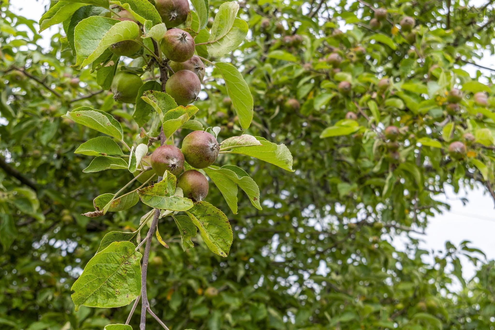 140 Hartling Road photo #17