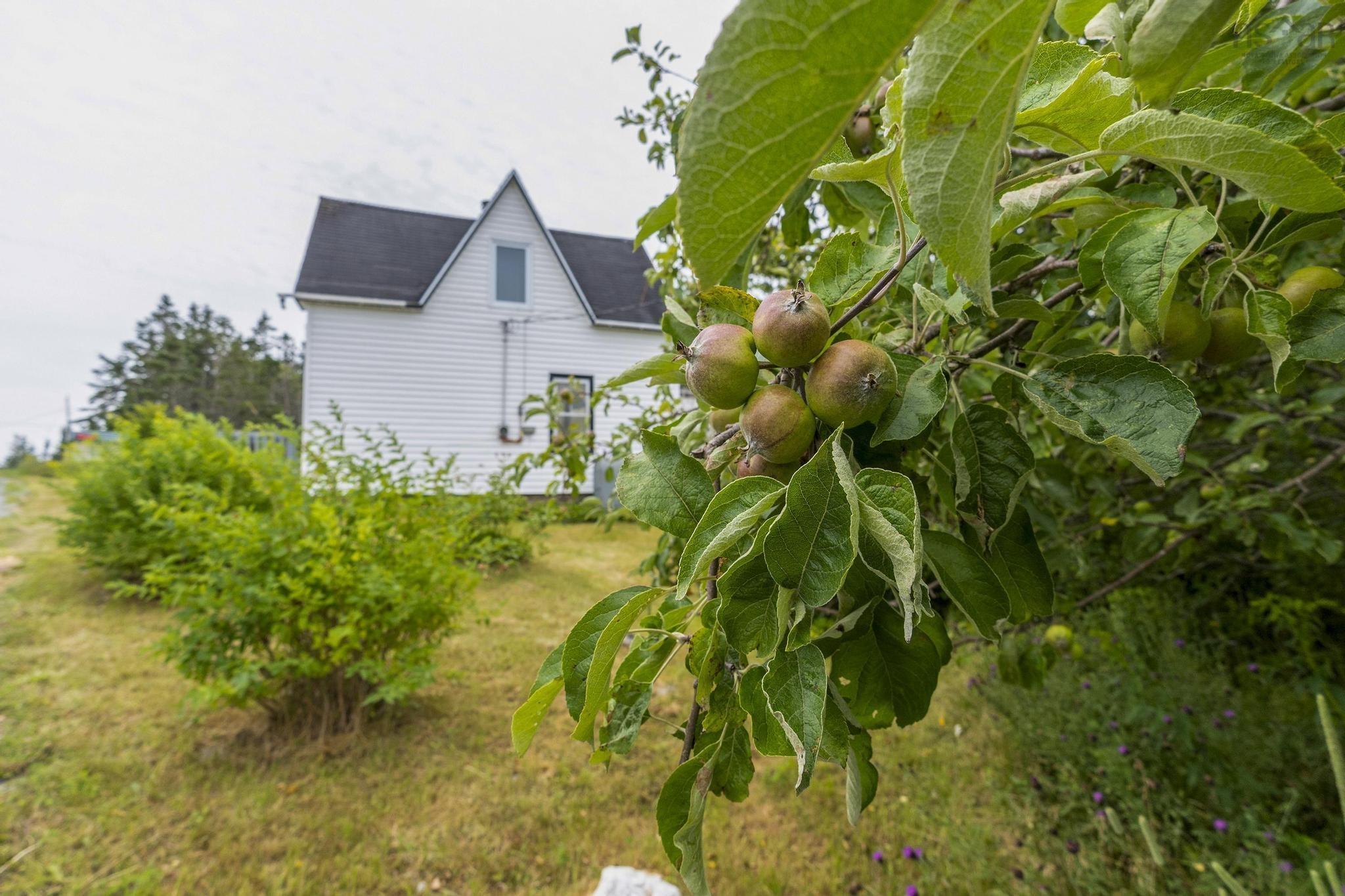 140 Hartling Road photo #19