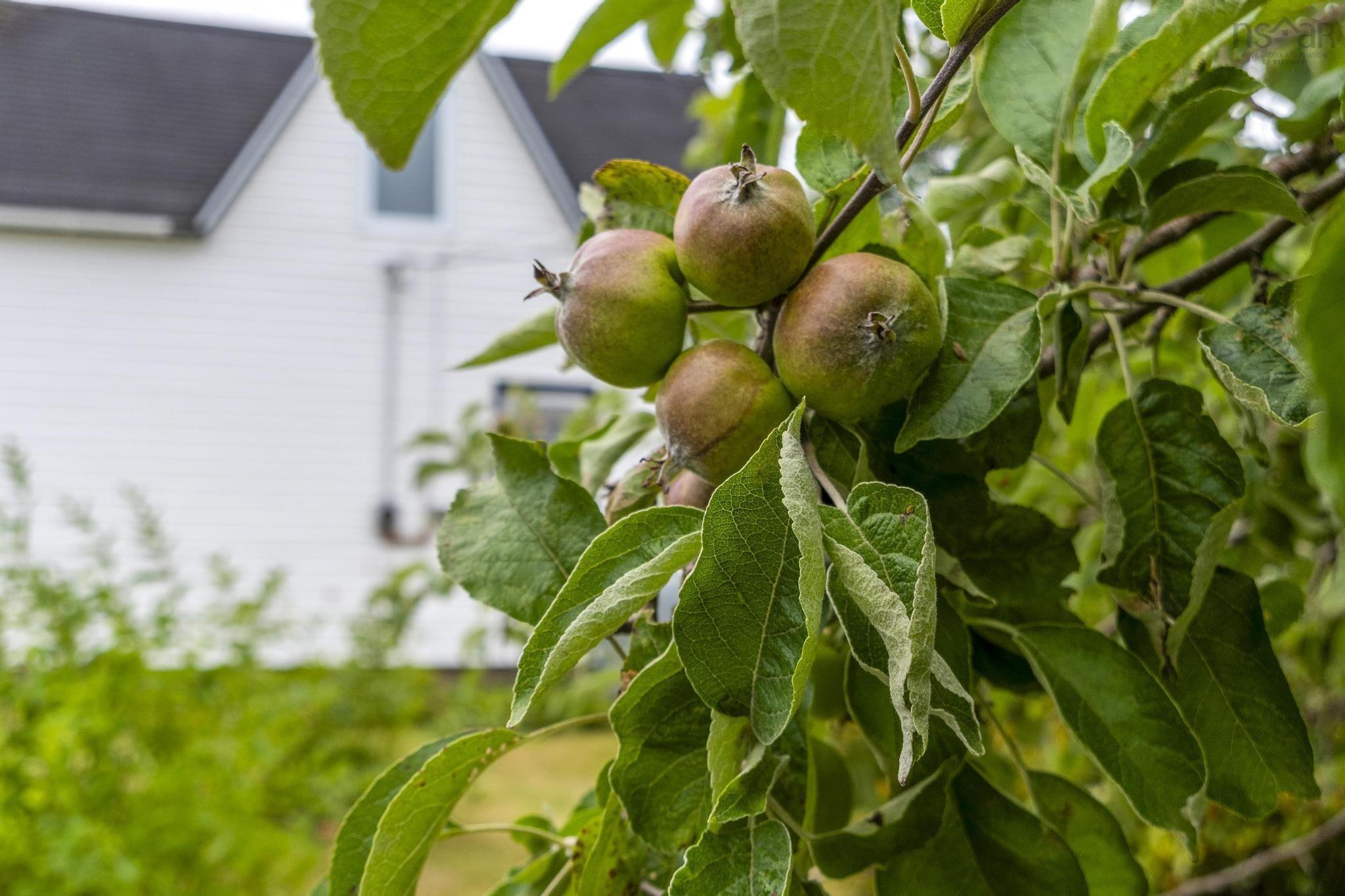 140 Hartling Road photo #20