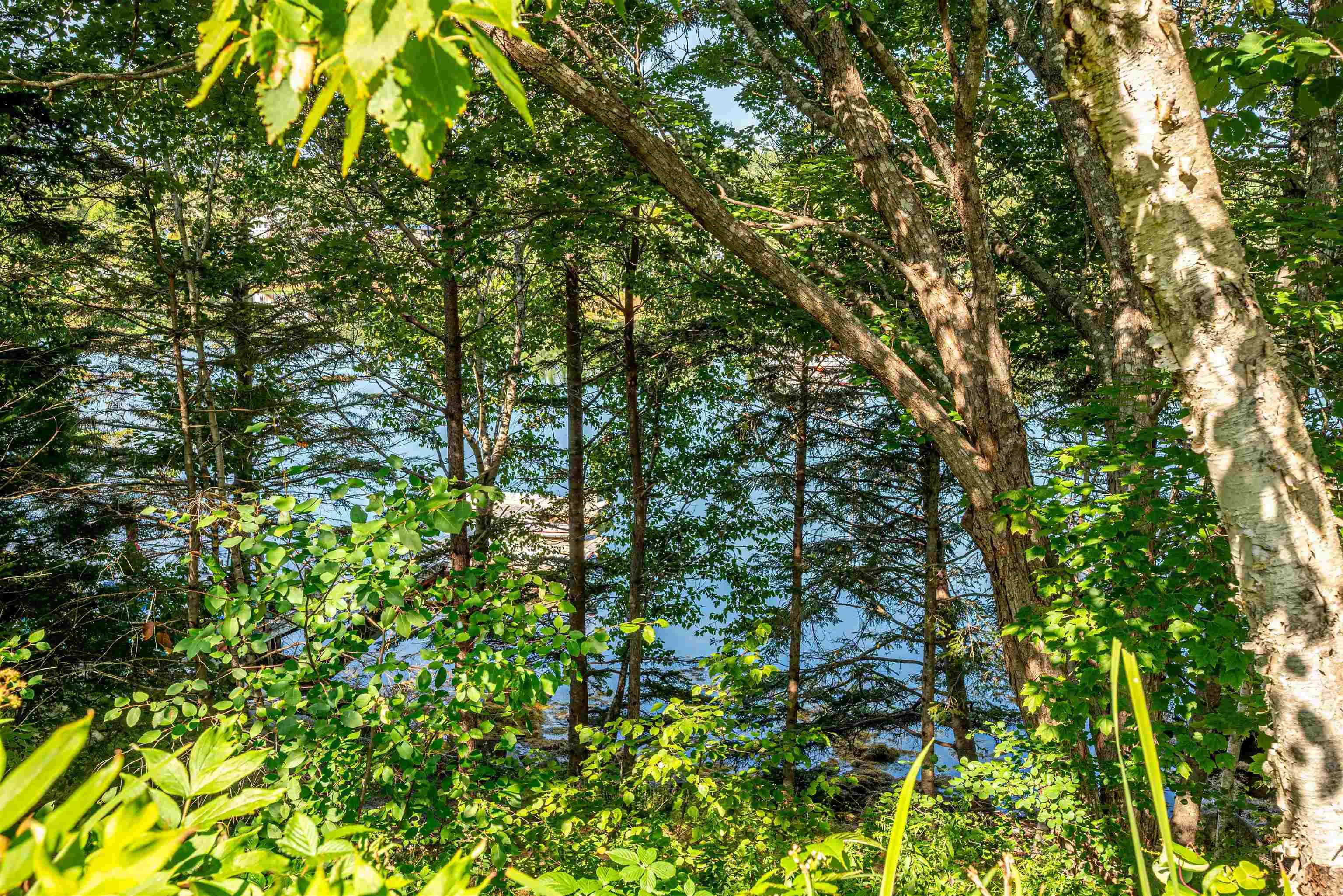 31 Seafarers Lane photo #33