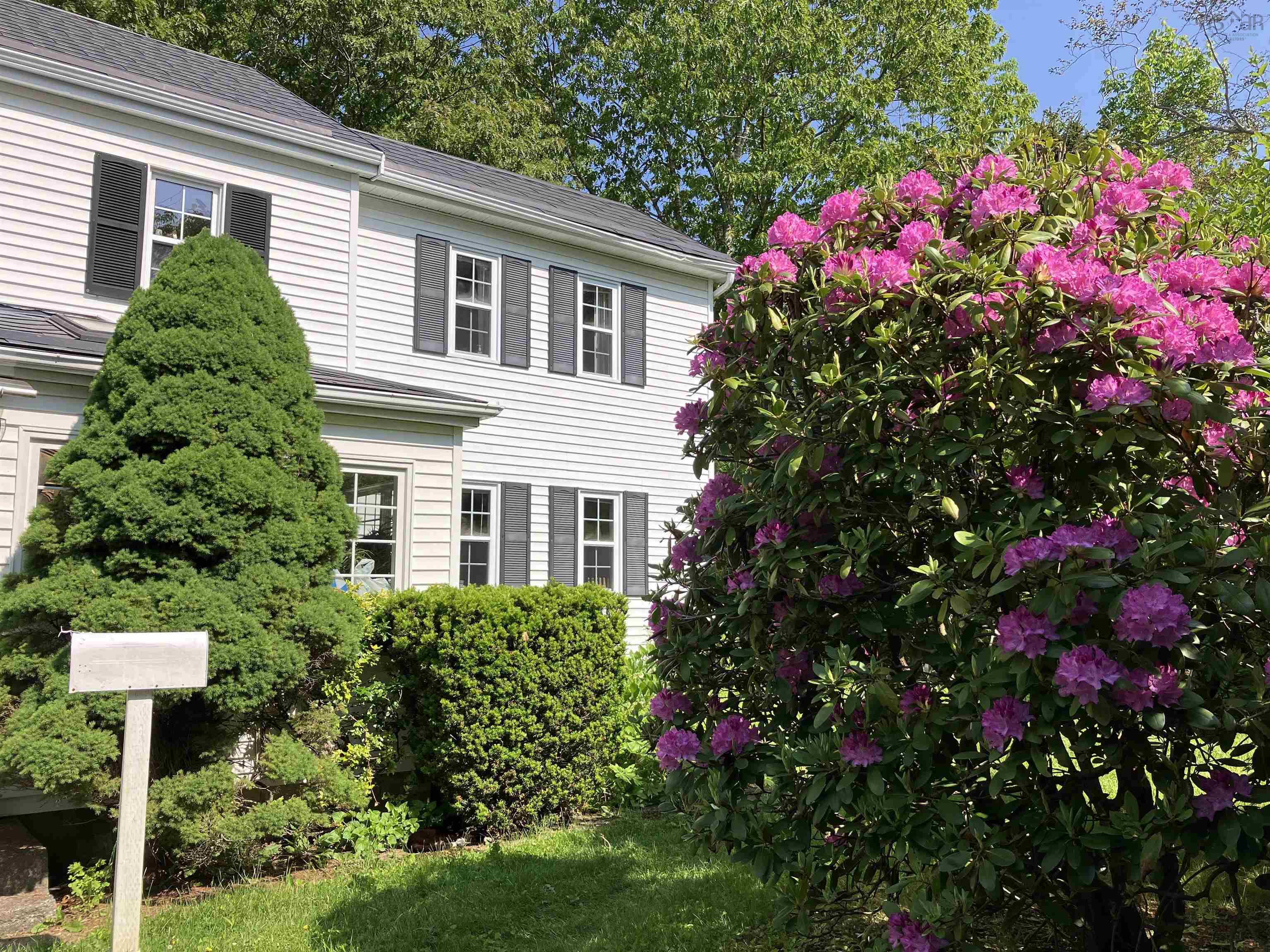 8 Emmerson Street photo #3