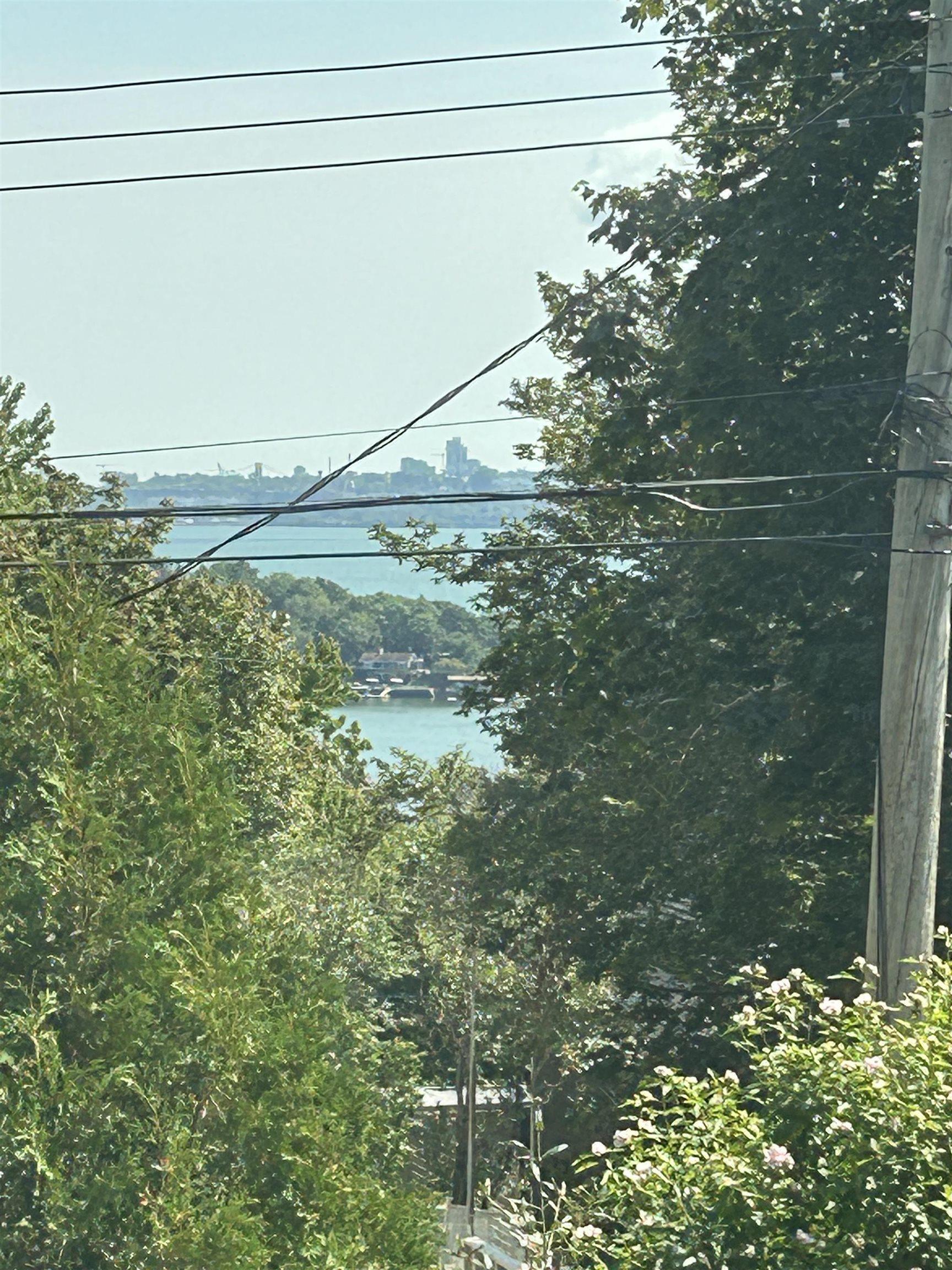 8 Emmerson Street photo #40