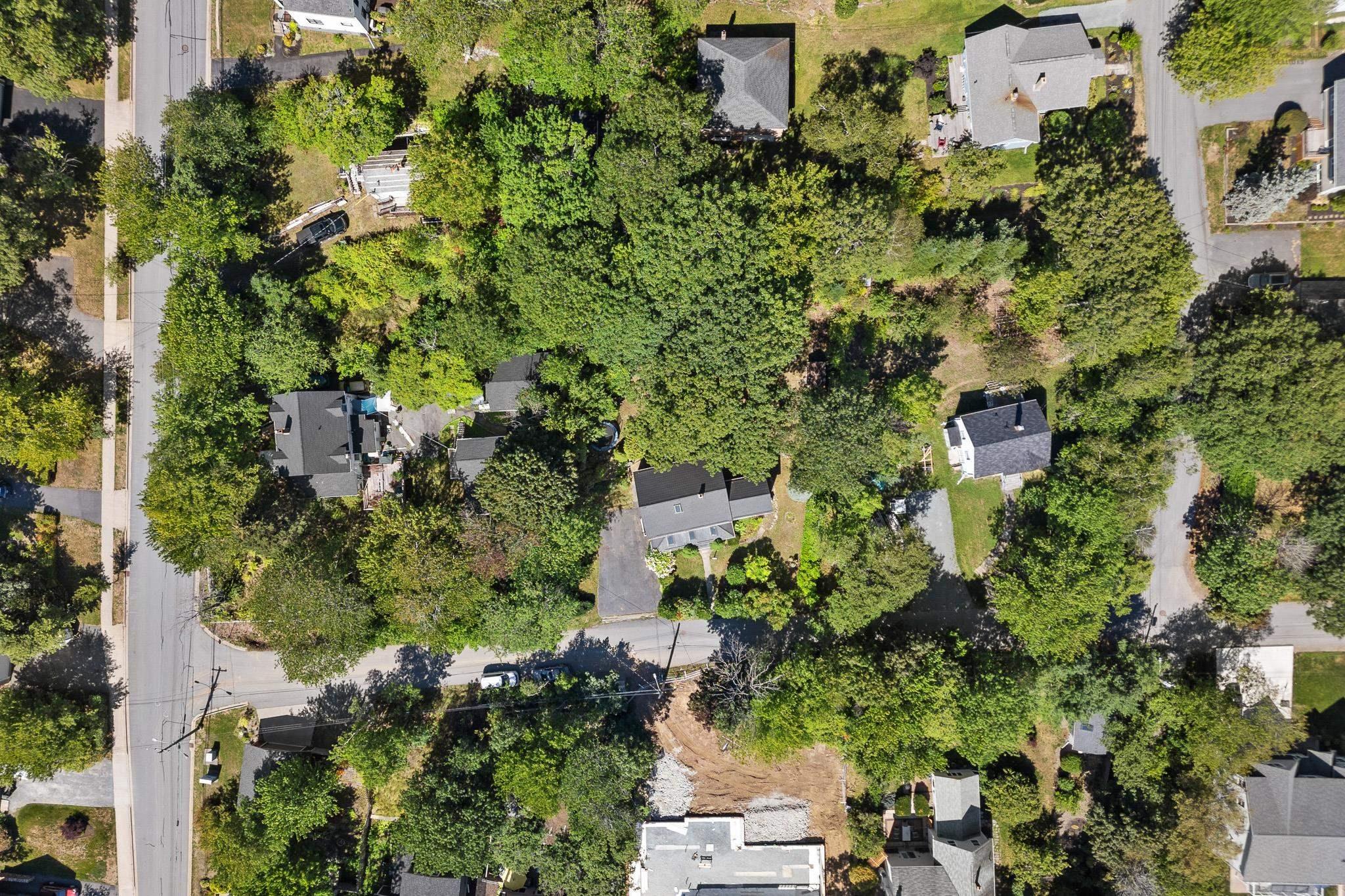 8 Emmerson Street photo #43