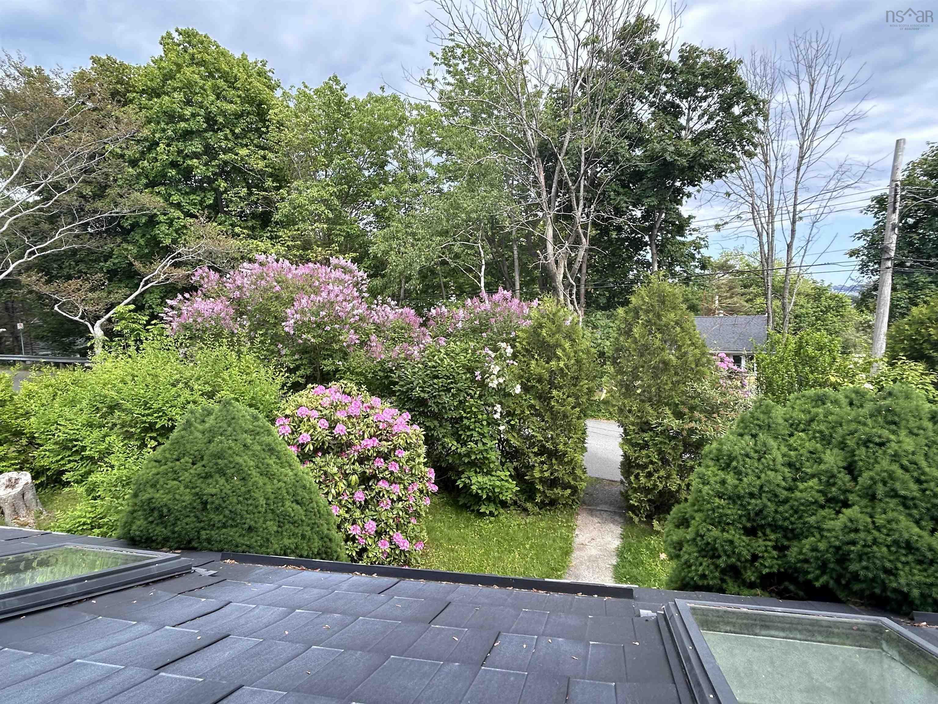 8 Emmerson Street photo #44