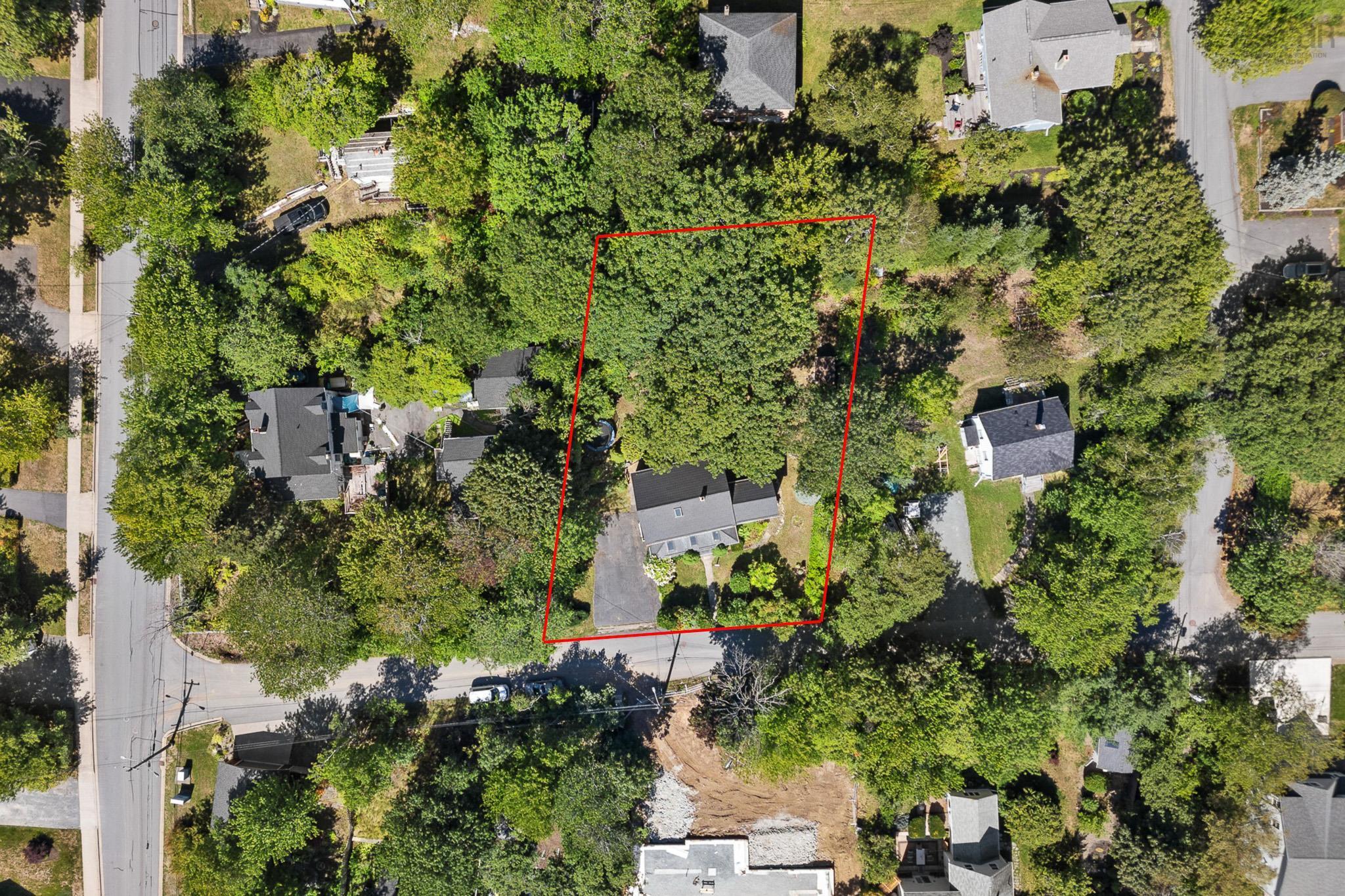 8 Emmerson Street photo #7