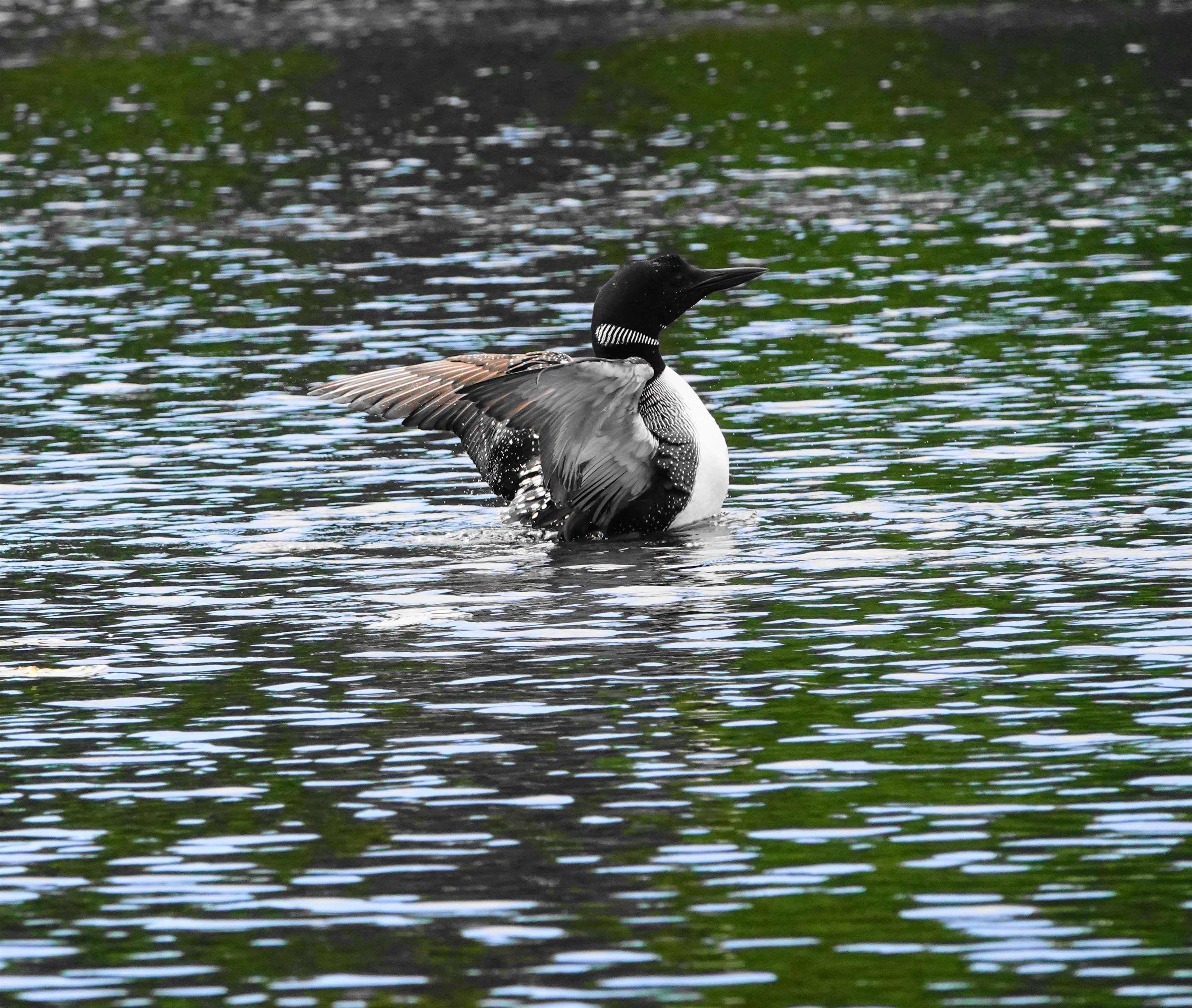 287 Long Lake Road photo #42