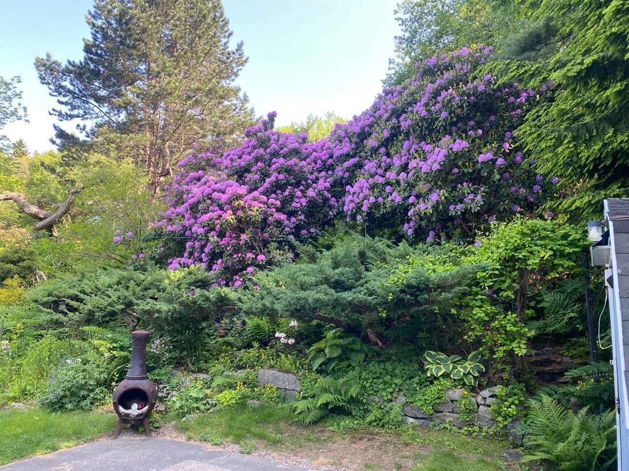 38 Kearney Lake Road photo #22