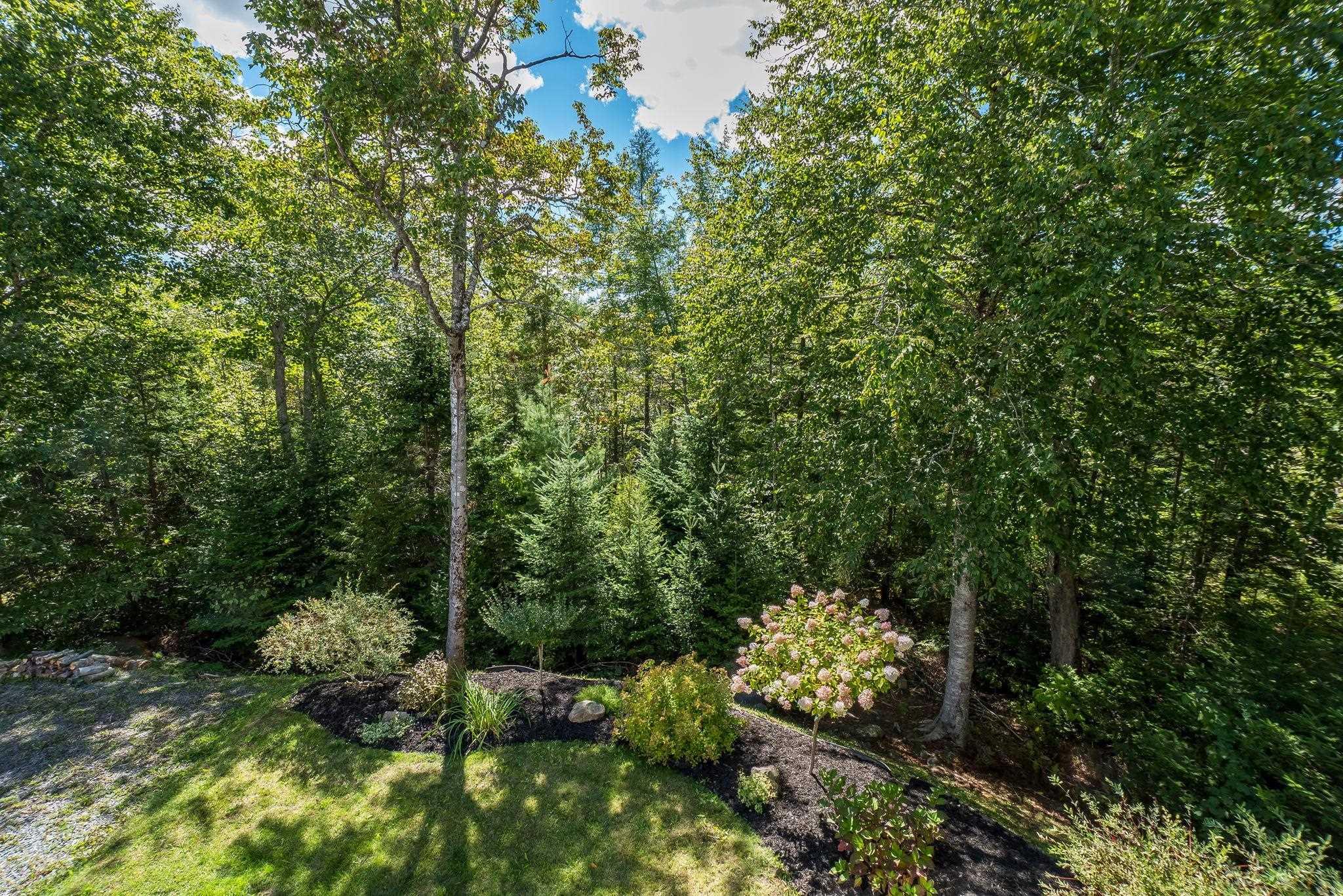 769 Lakeview Avenue photo #42