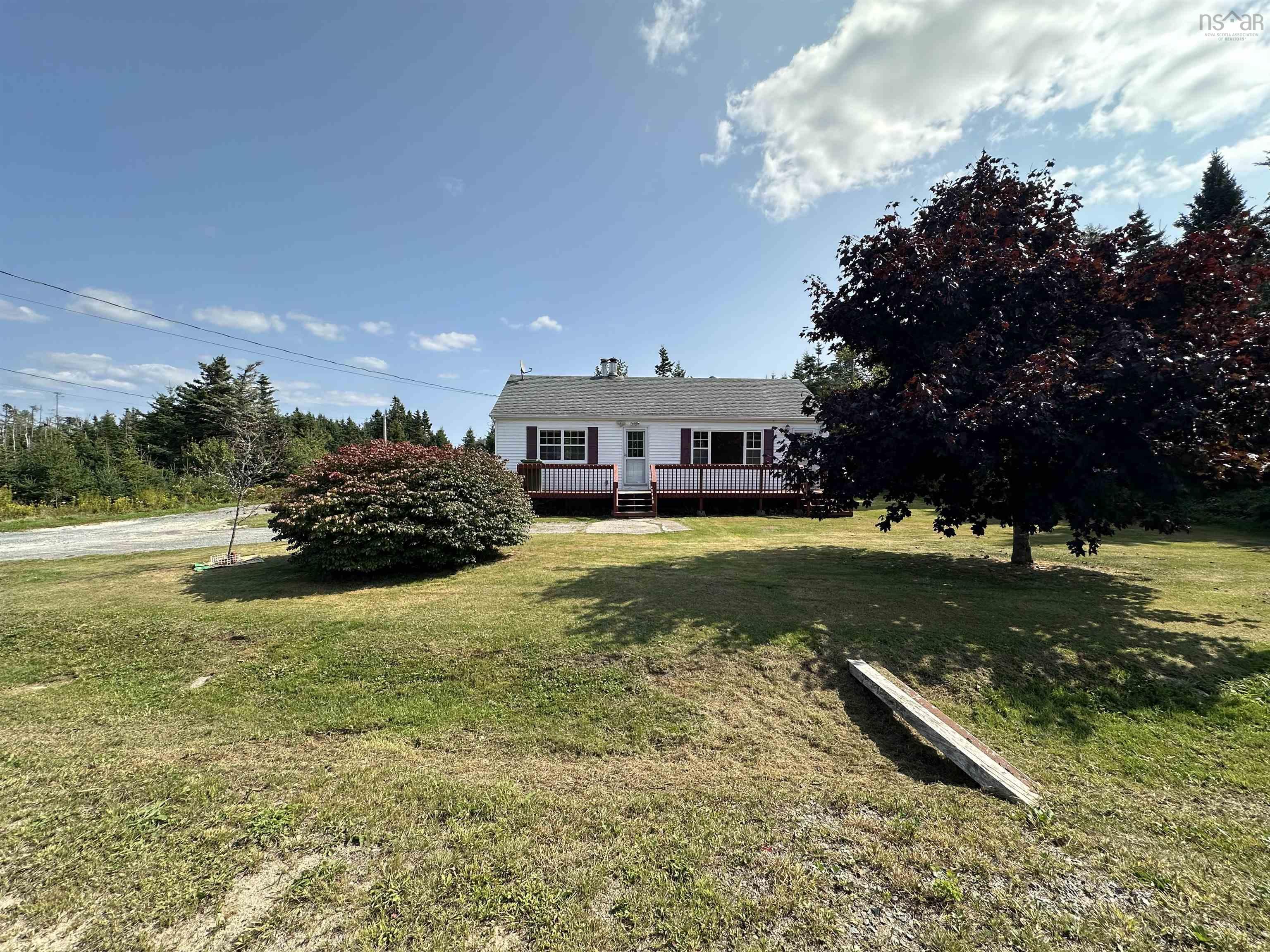 1110 Mushaboom Road photo #37