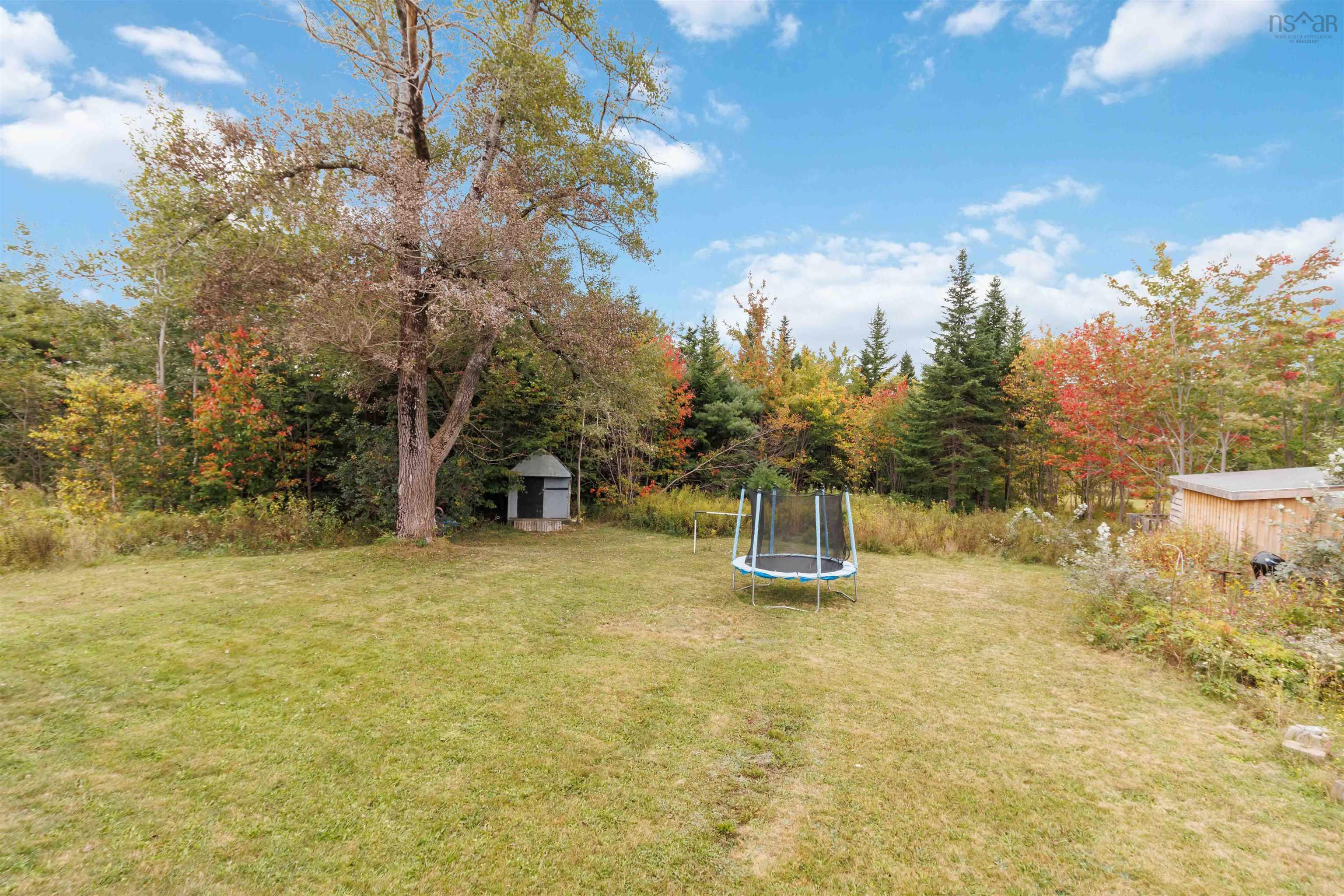 7632 Highway 7 photo #37