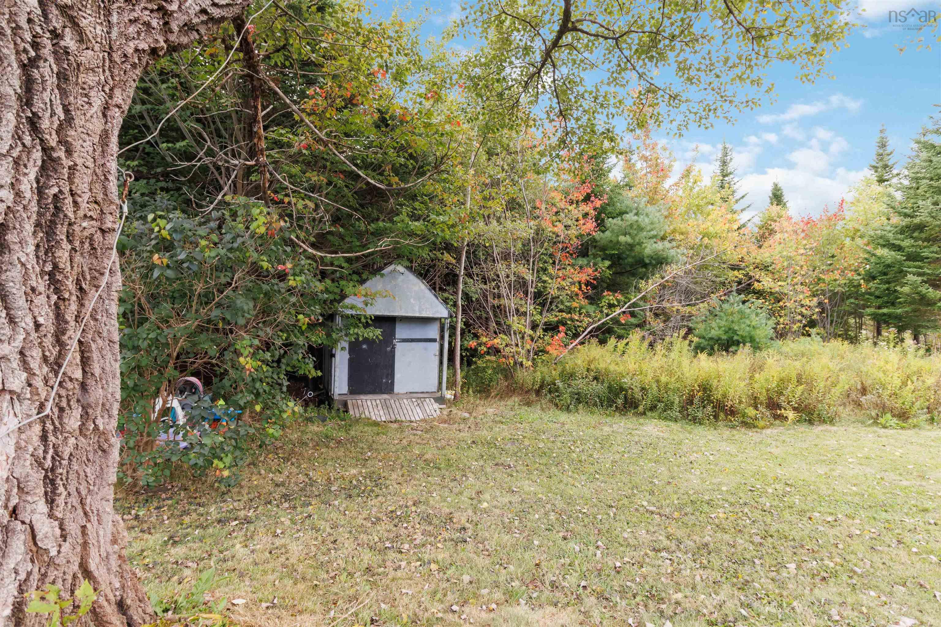 7632 Highway 7 photo #39