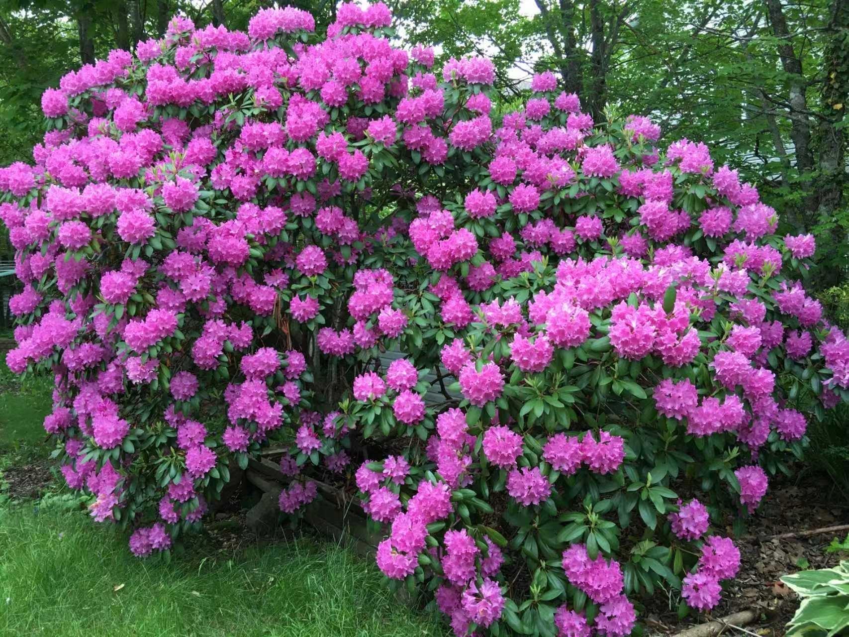 11 Glenbourne Court photo #37