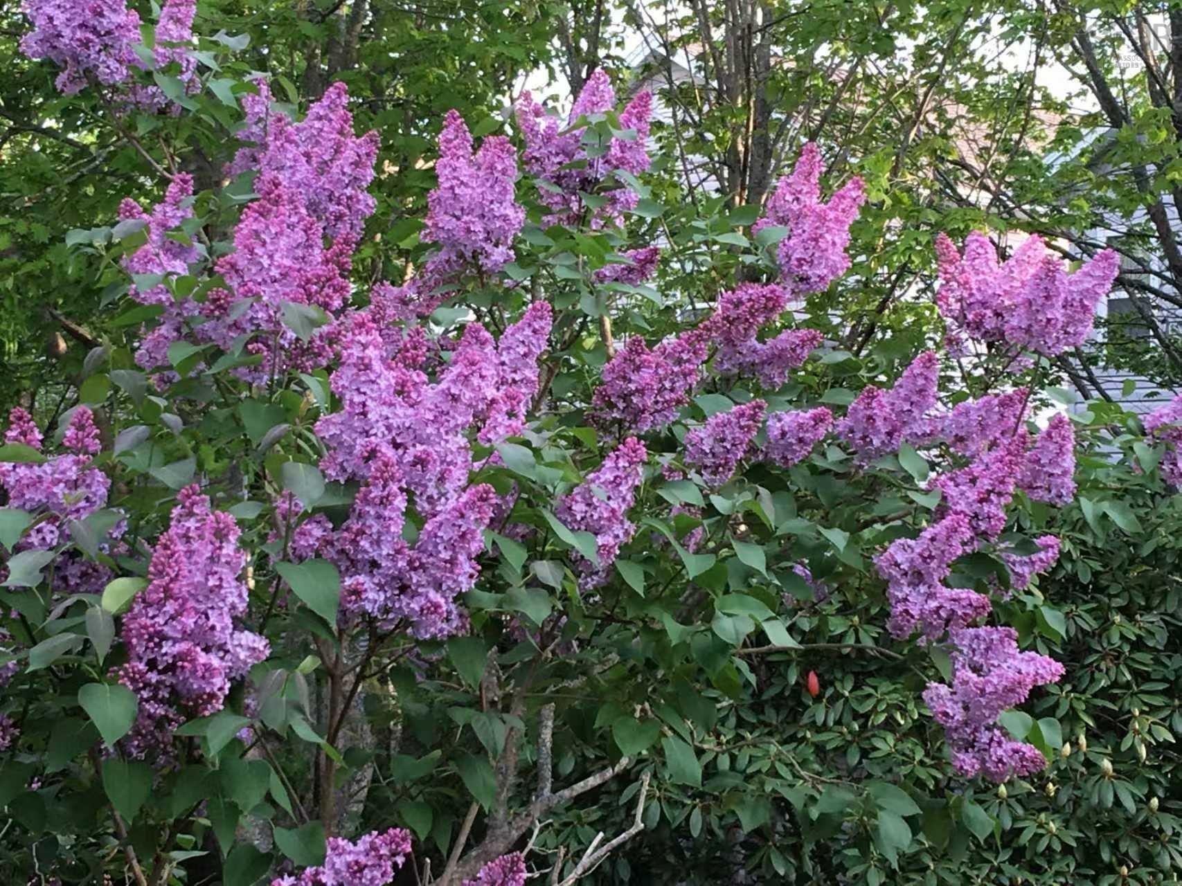 11 Glenbourne Court photo #38