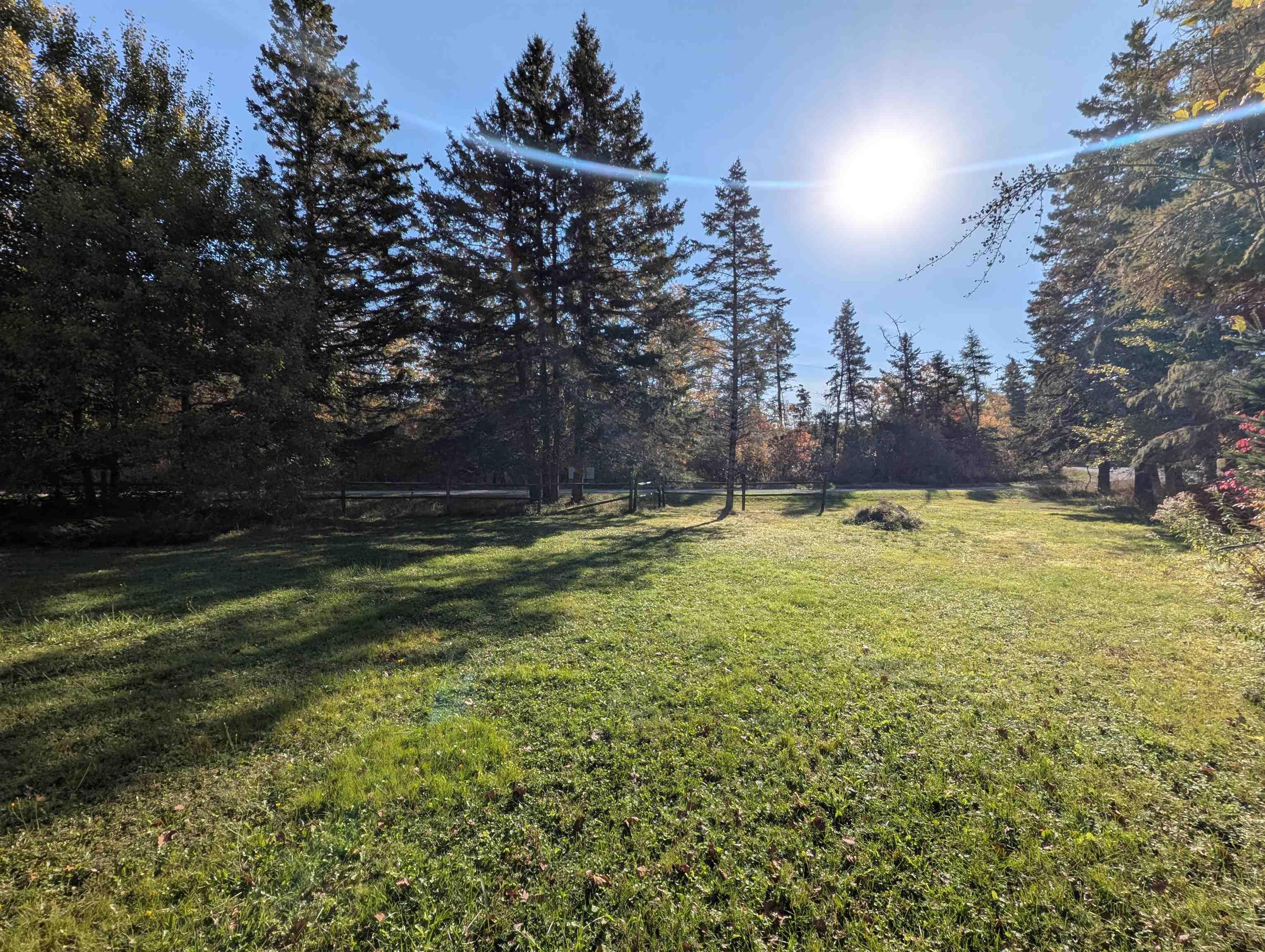 19 Benvie Hill Road photo #4