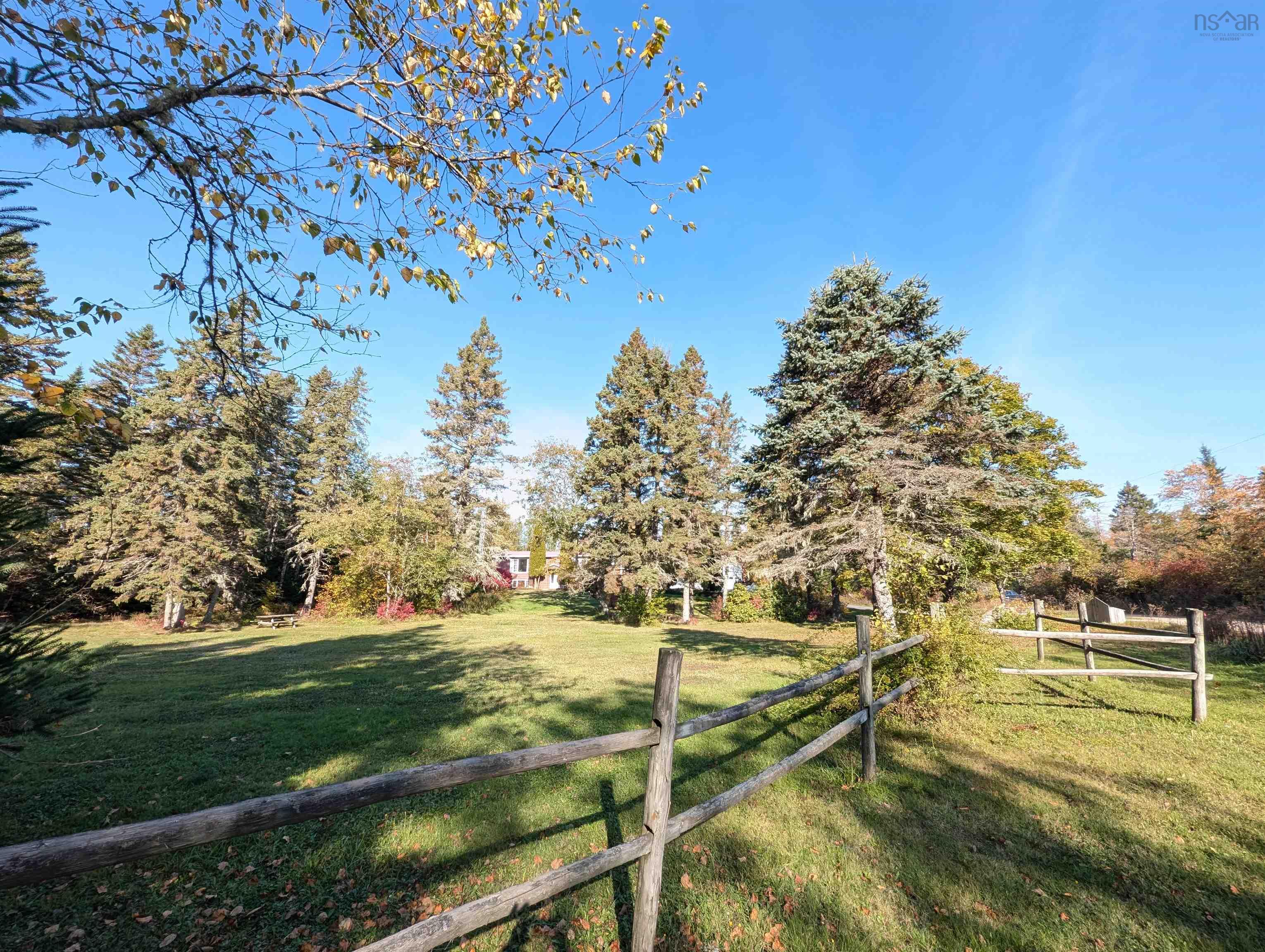 19 Benvie Hill Road photo #5