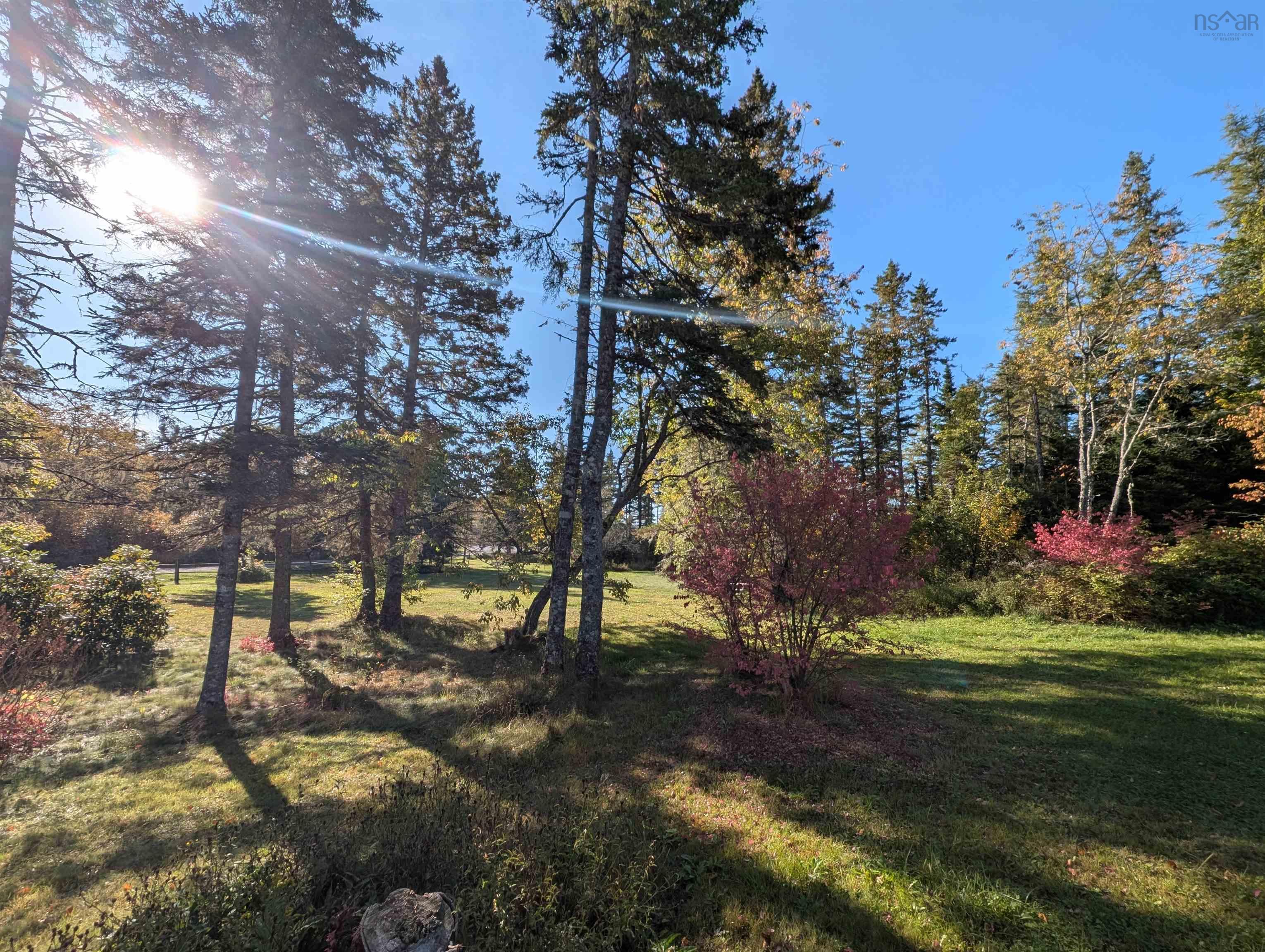 19 Benvie Hill Road photo #6