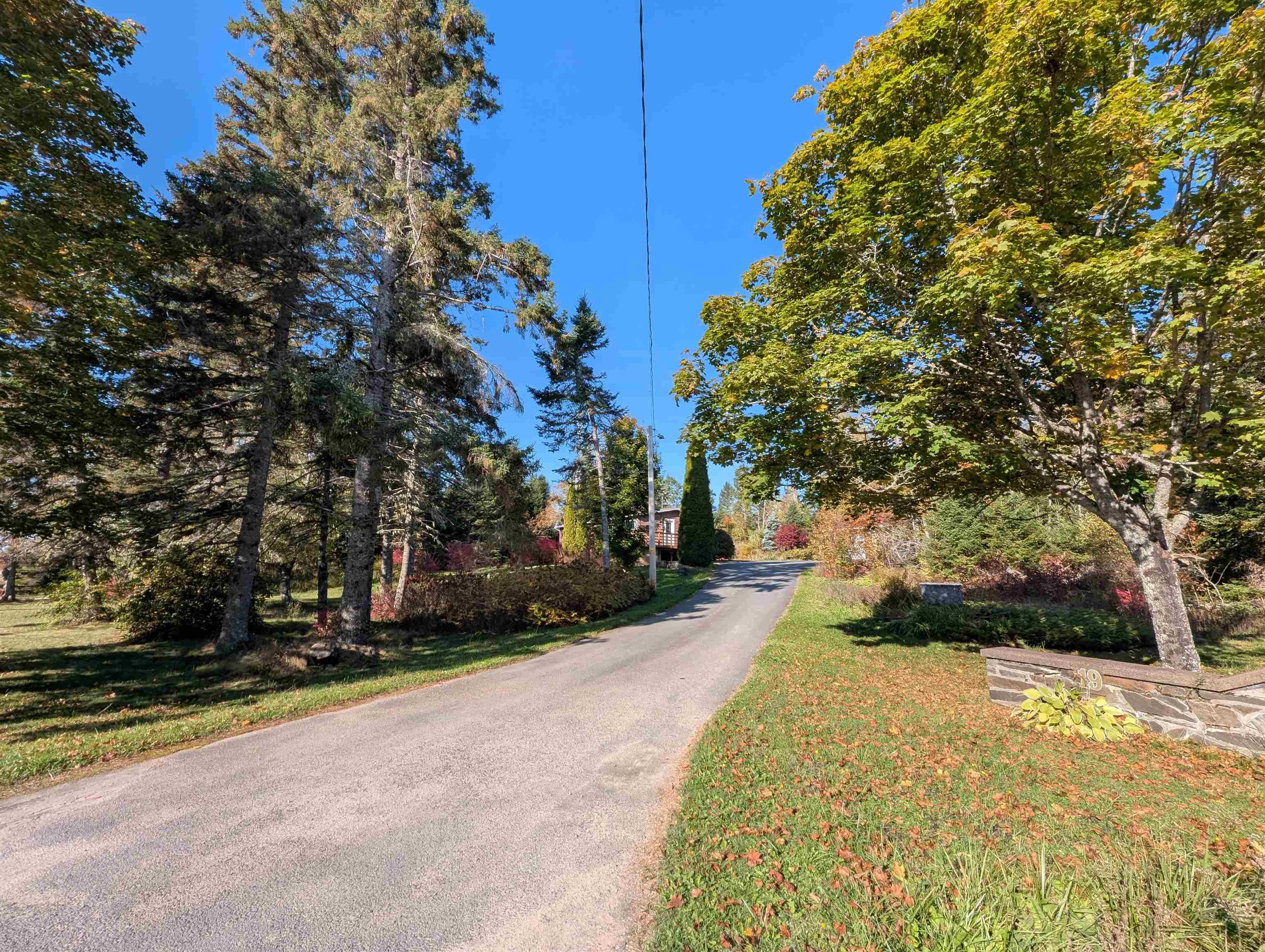 19 Benvie Hill Road photo #7