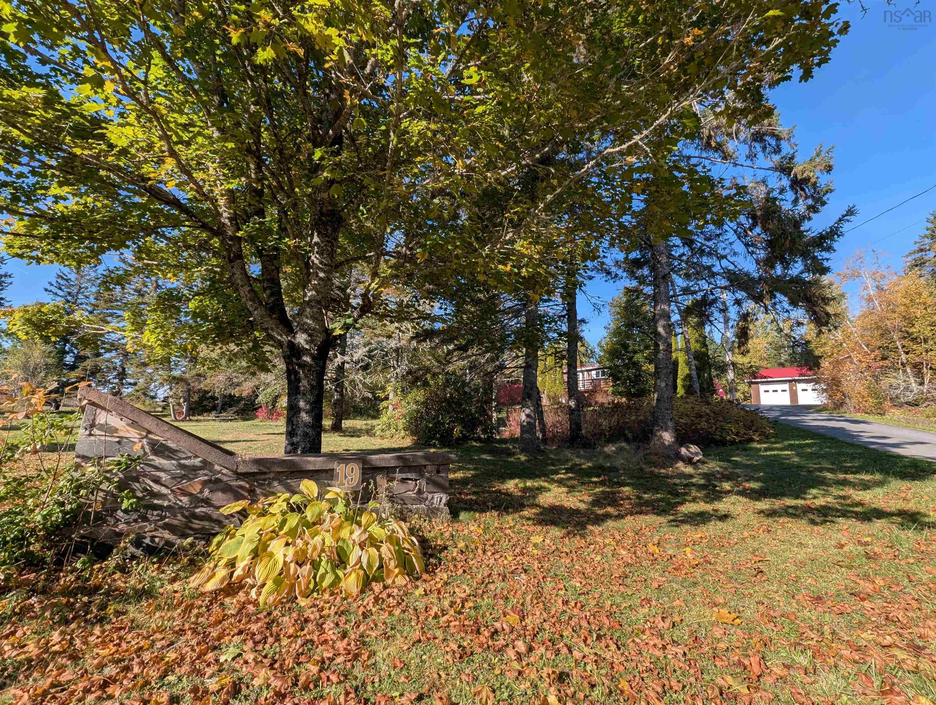 19 Benvie Hill Road photo #8