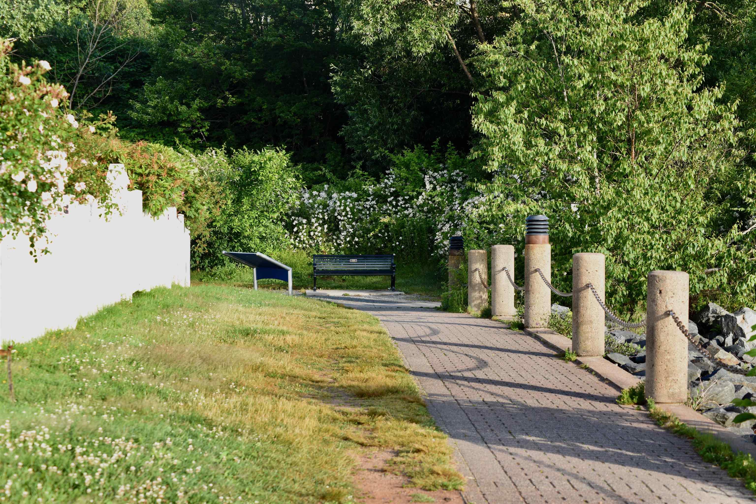 504 50 Waterfront Drive photo #39