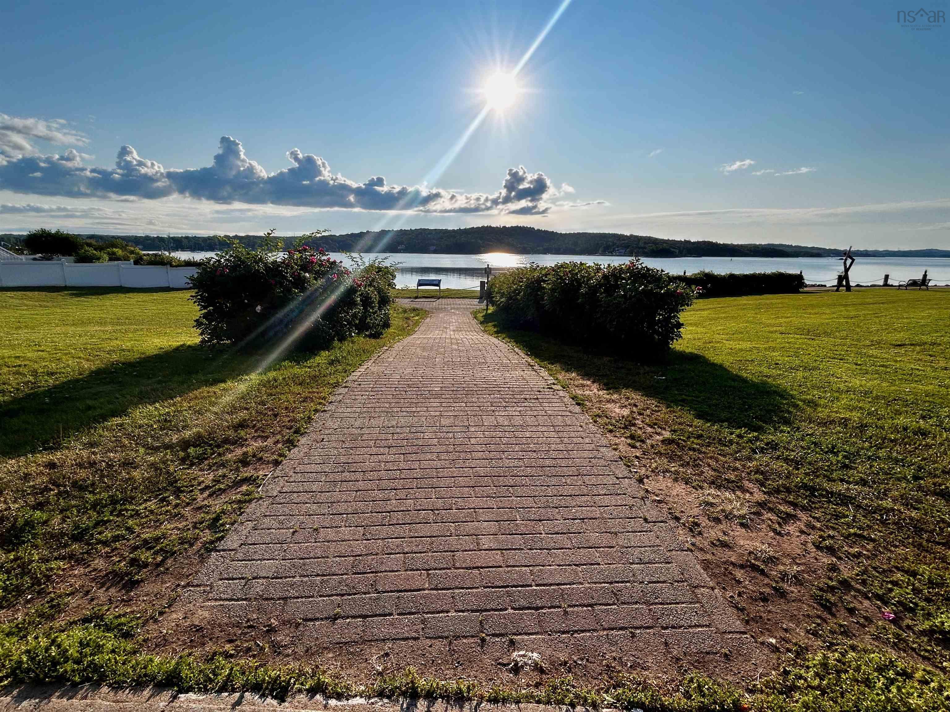 504 50 Waterfront Drive photo #40