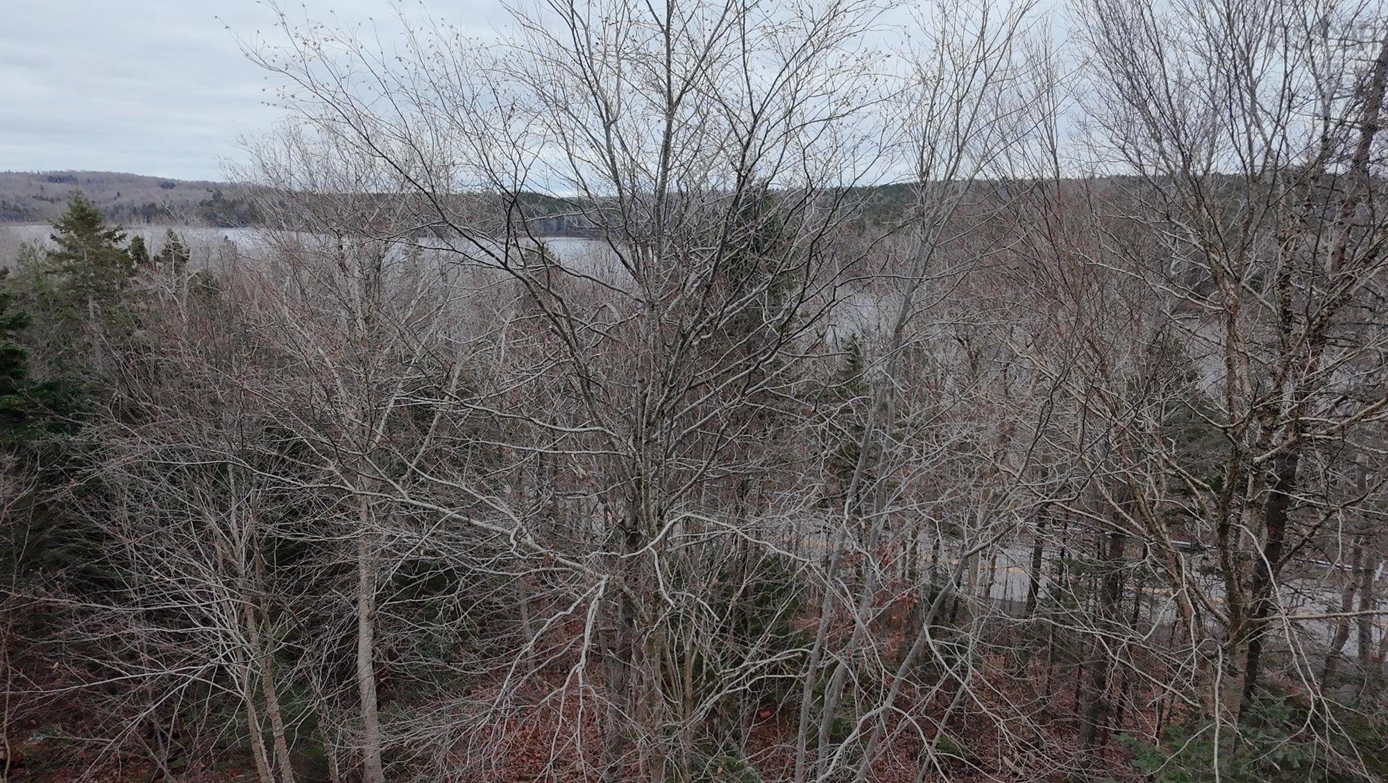 9 Carriage Road photo #40