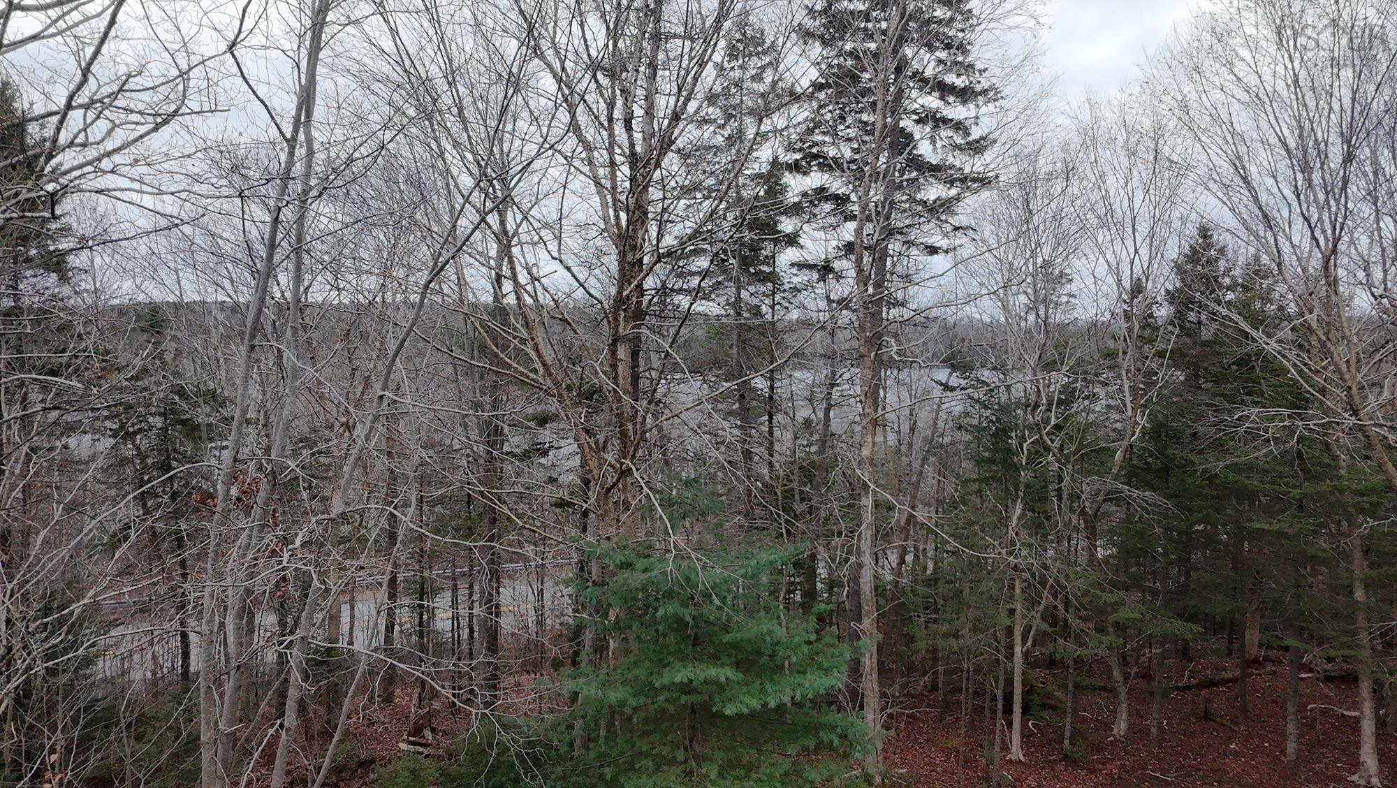 9 Carriage Road photo #41