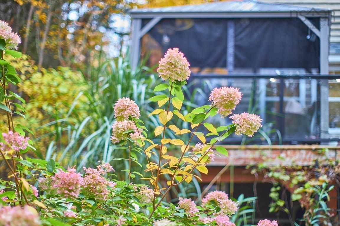 9 Carriage Road photo #42