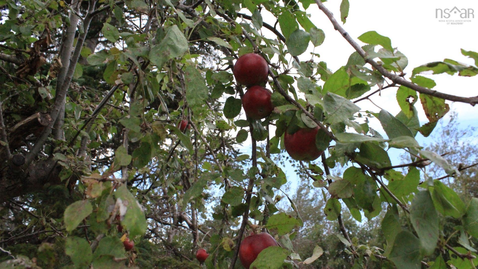 3 Flower Garden Lane photo #33