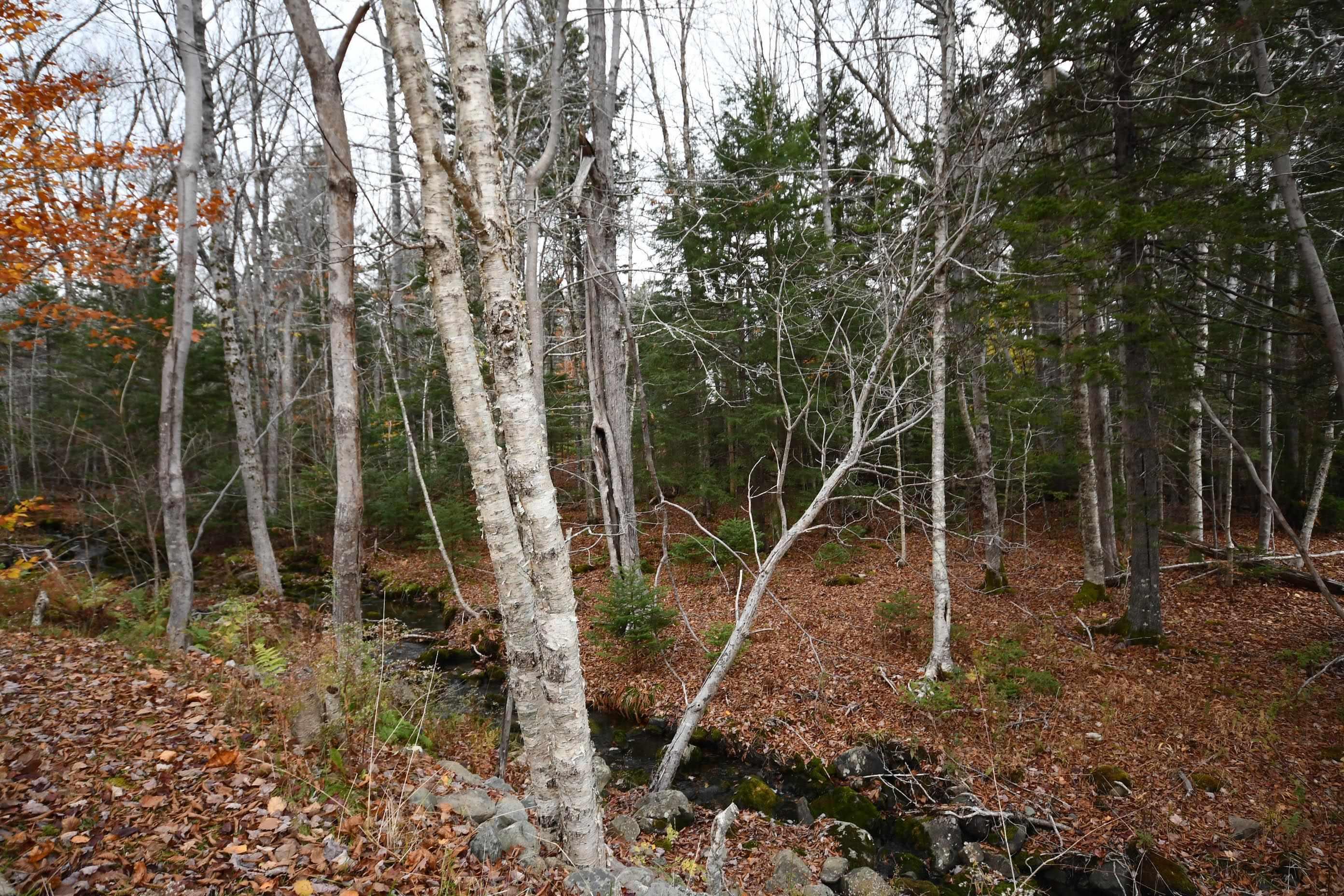 180 Lakeview Avenue photo #40