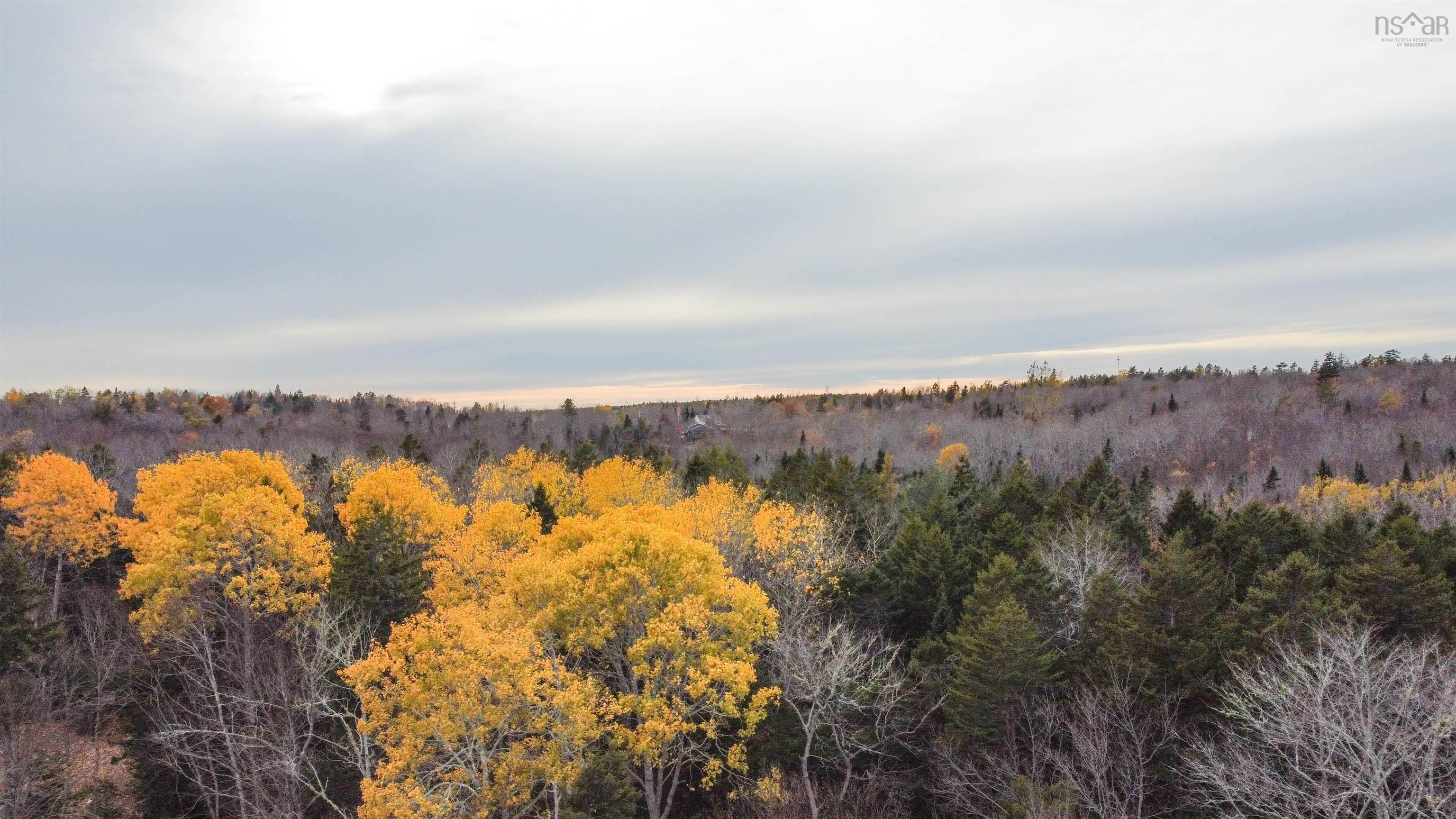 180 Lakeview Avenue photo #49