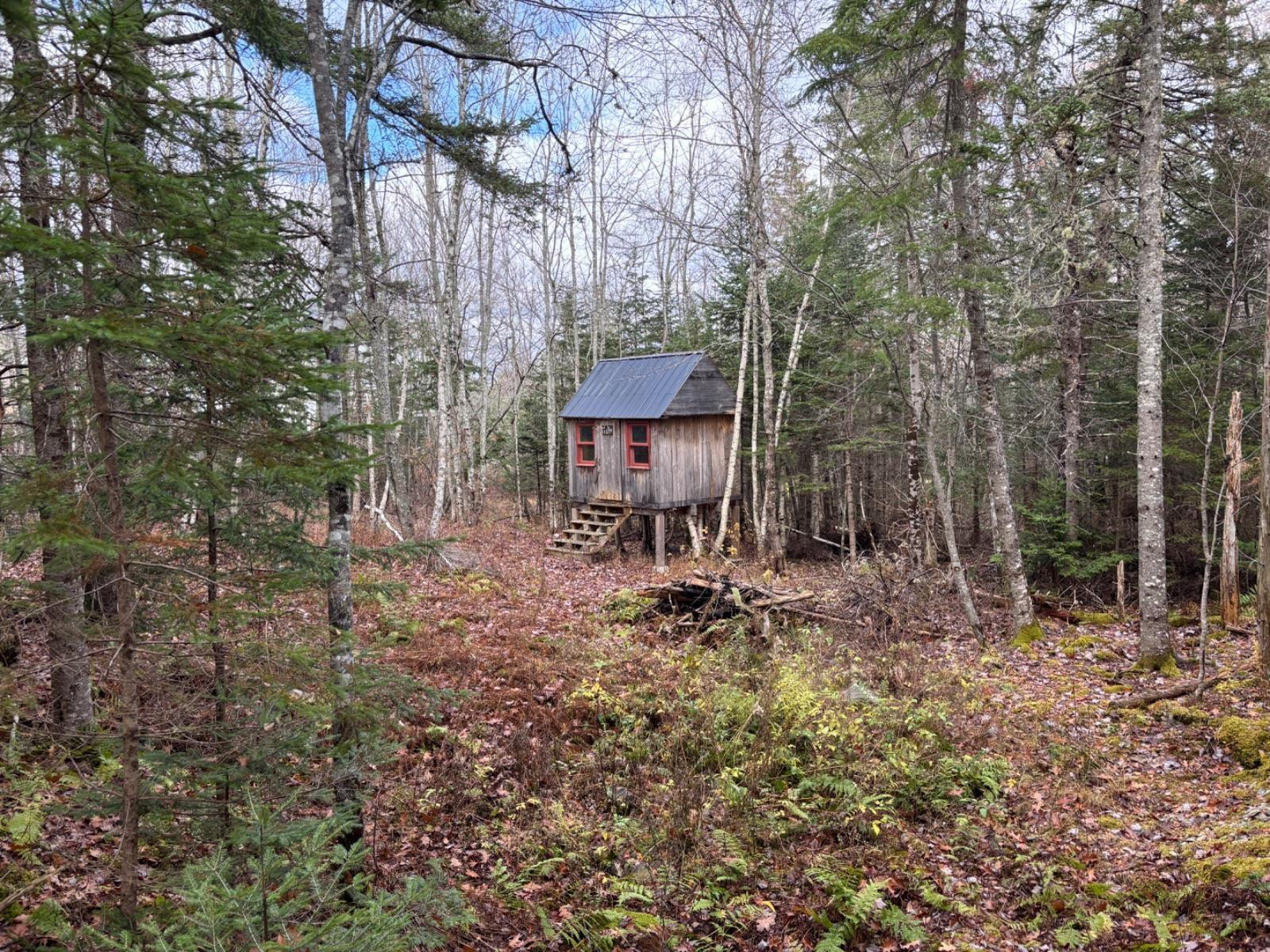 54 Craig Drive photo #24