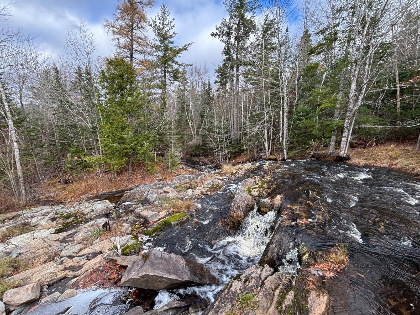 54 Craig Drive photo #25