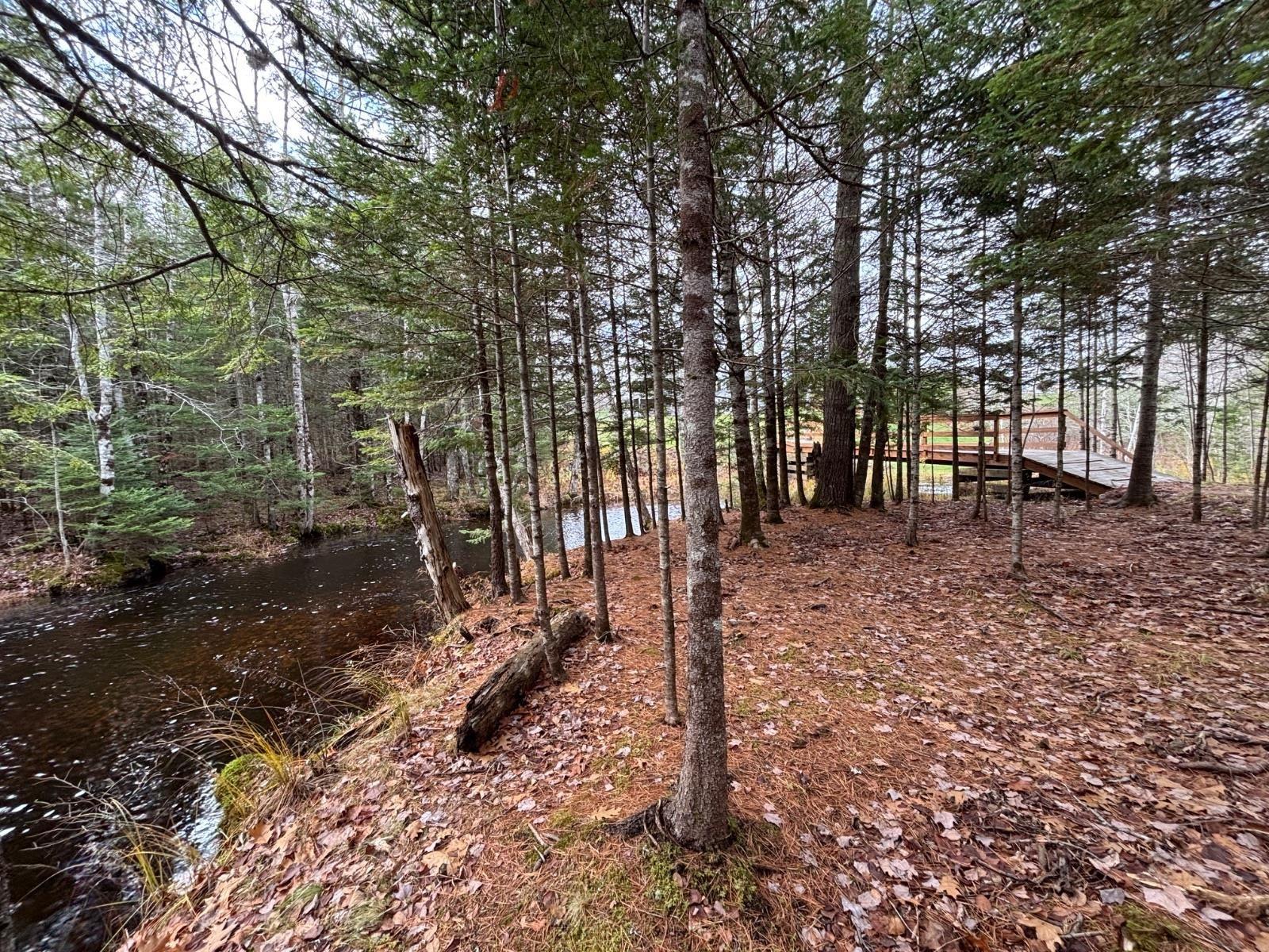 54 Craig Drive photo #26