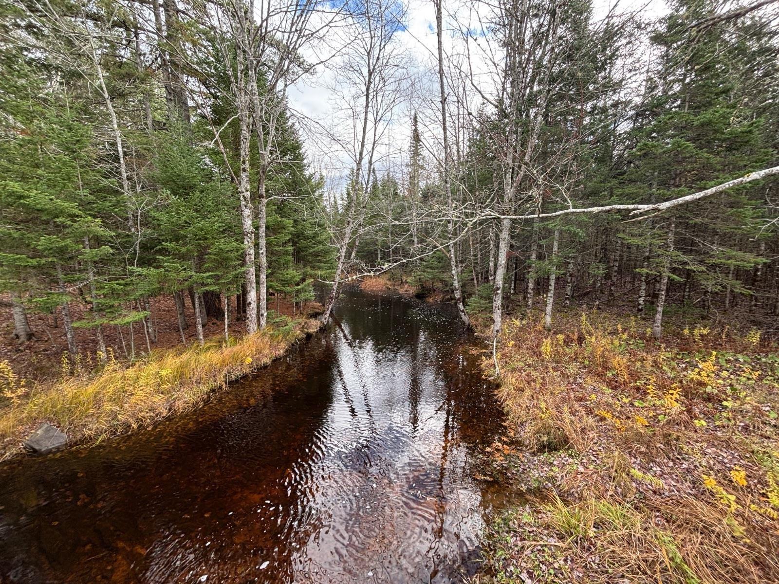 54 Craig Drive photo #27