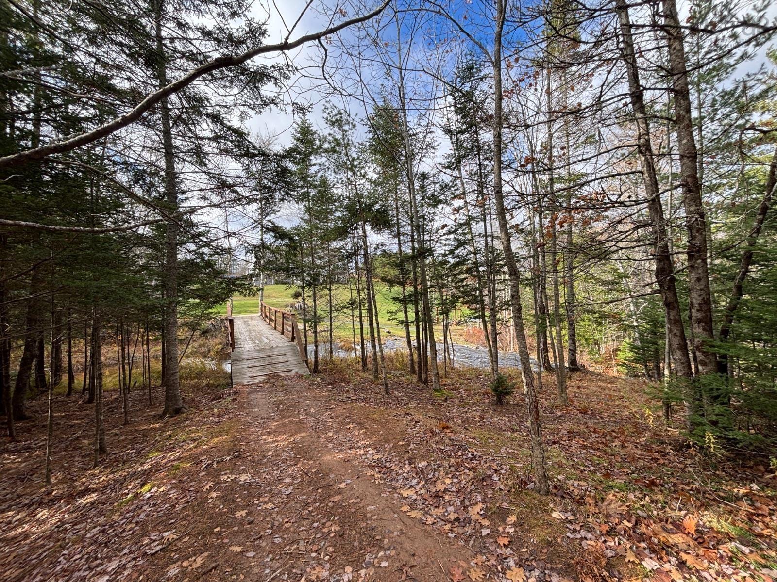 54 Craig Drive photo #28