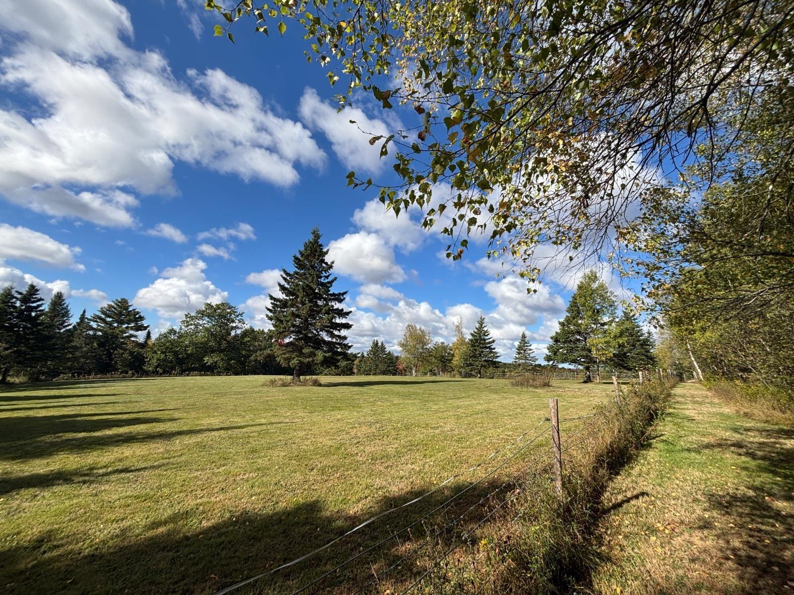 54 Craig Drive photo #29