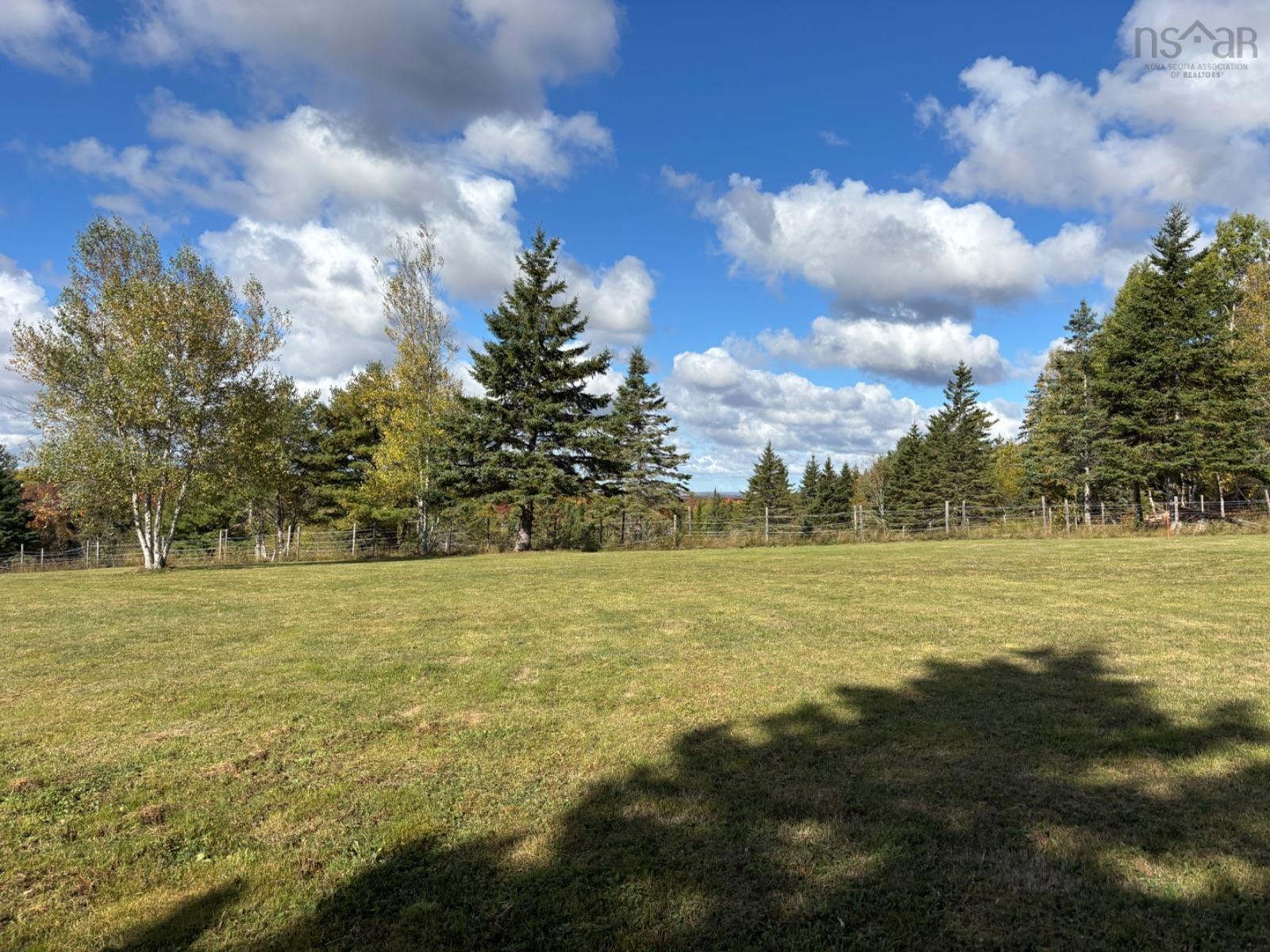 54 Craig Drive photo #30