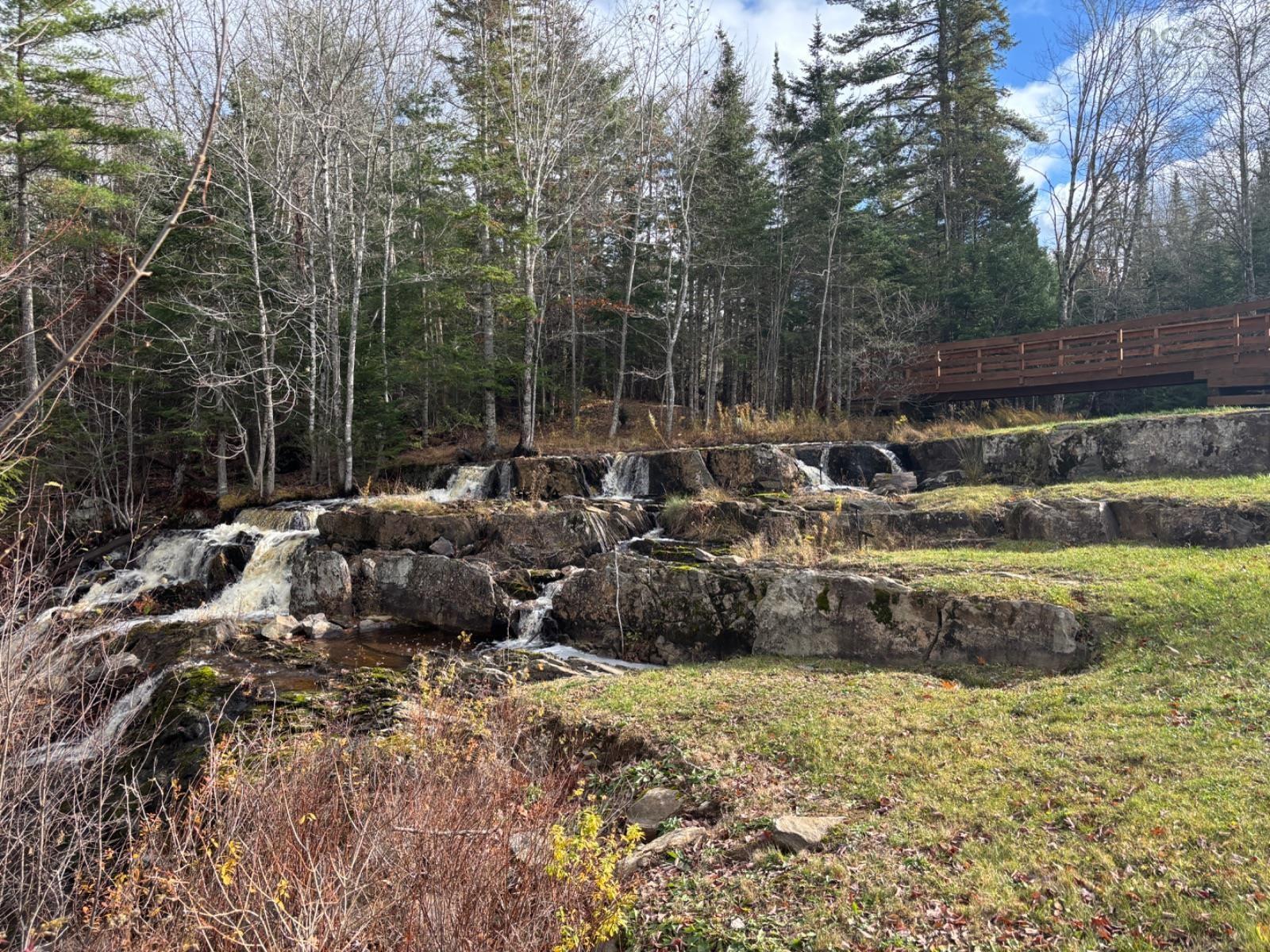 54 Craig Drive photo #4